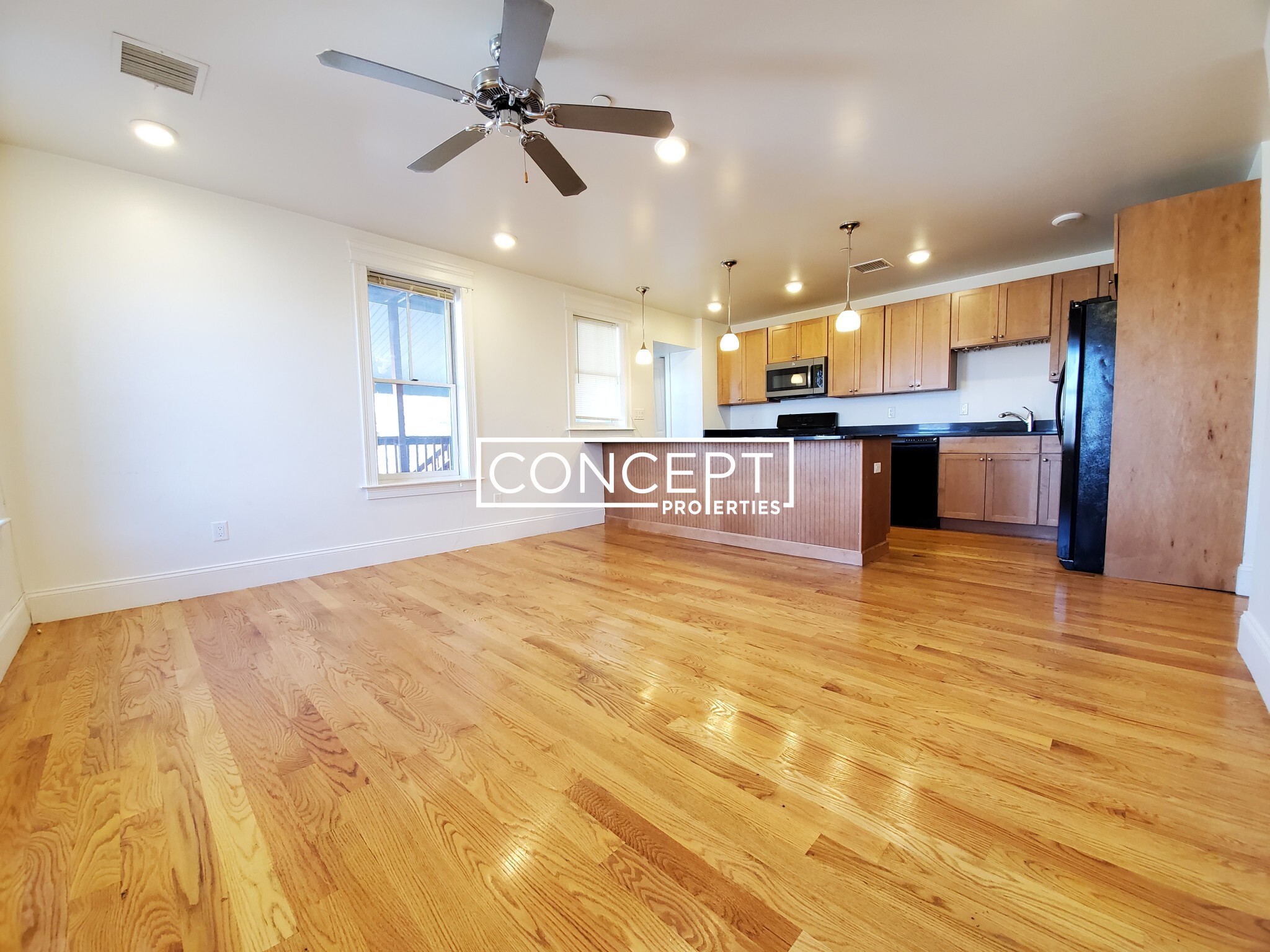 Concept Properties