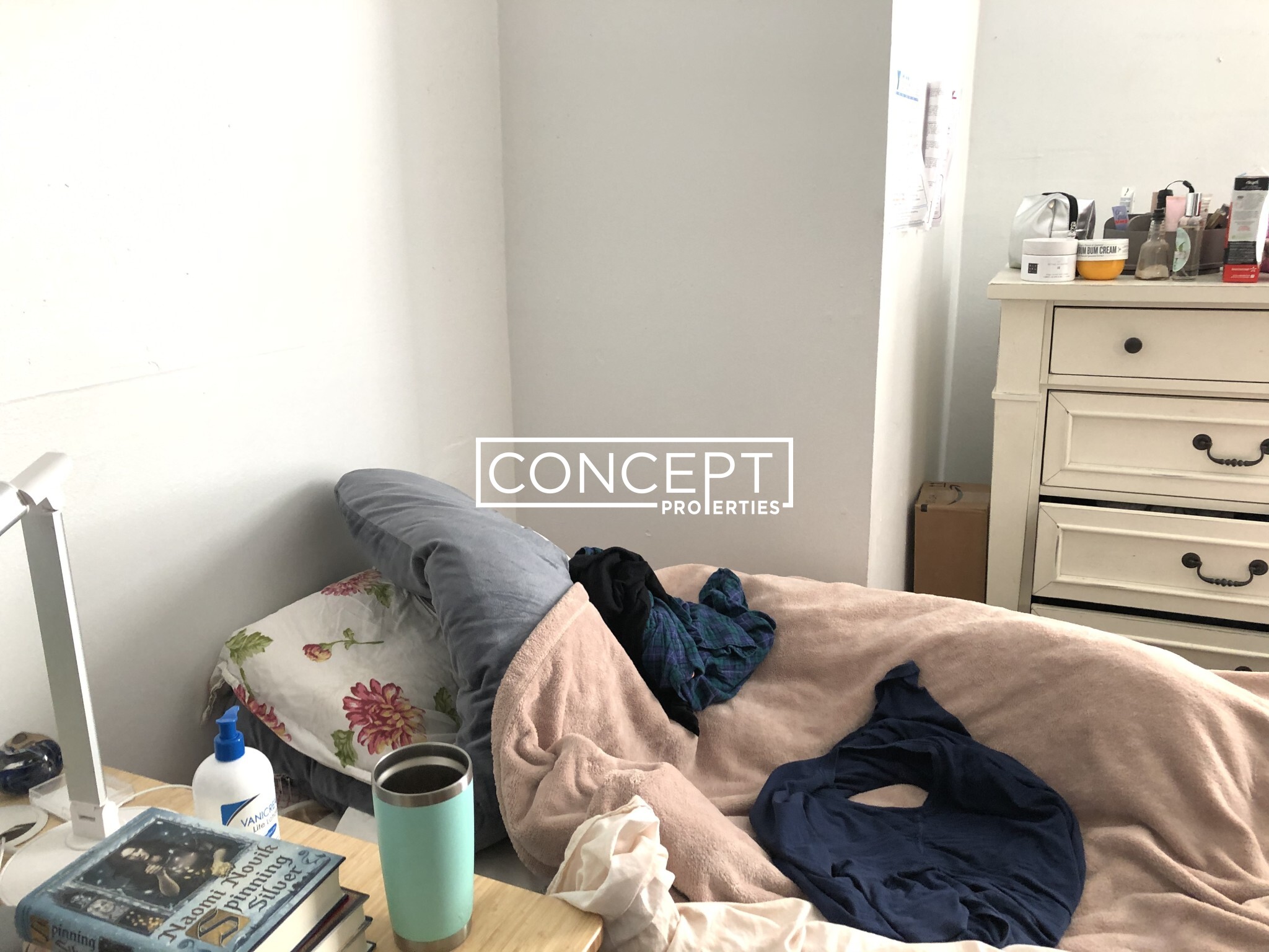 Concept Properties