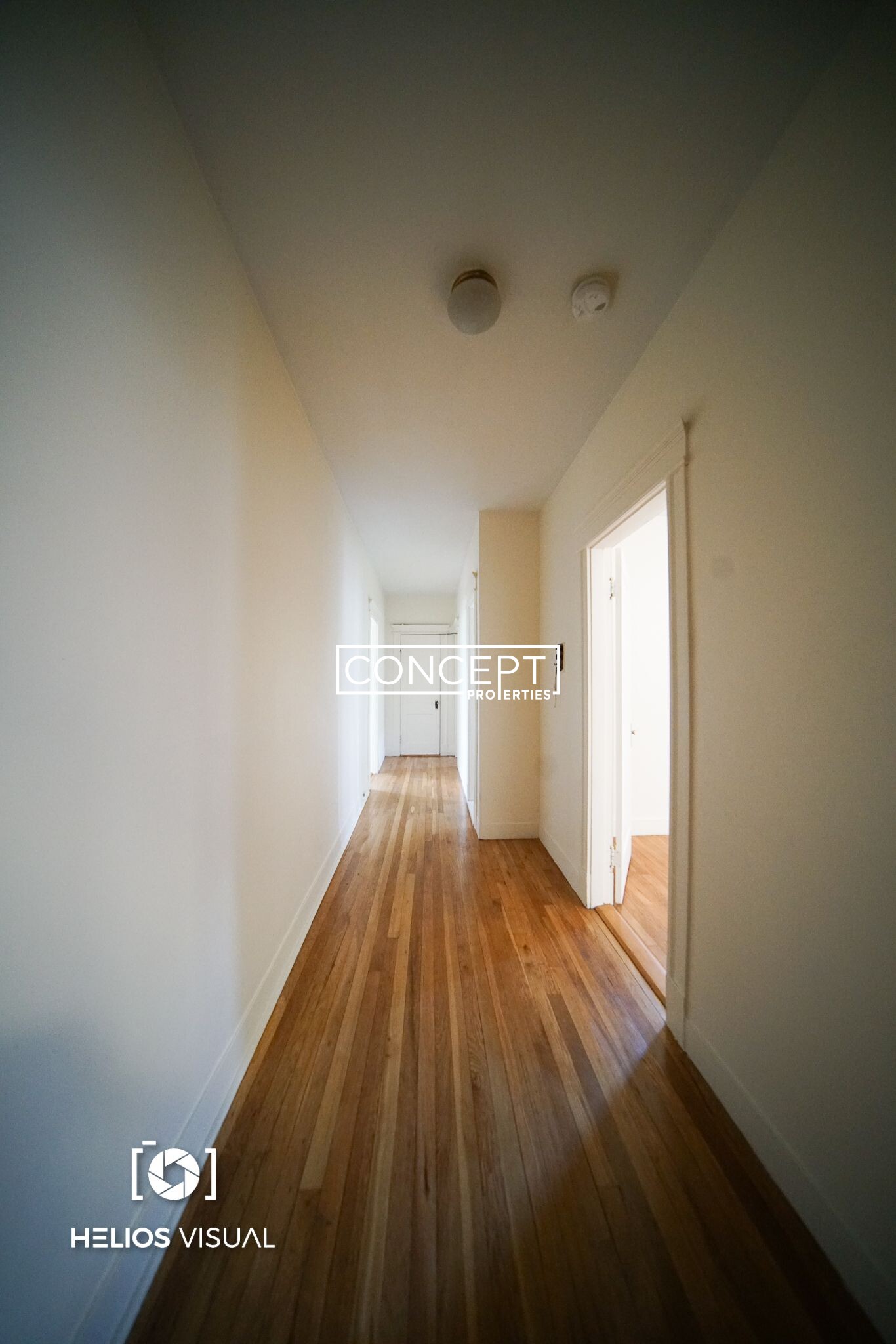 Concept Properties
