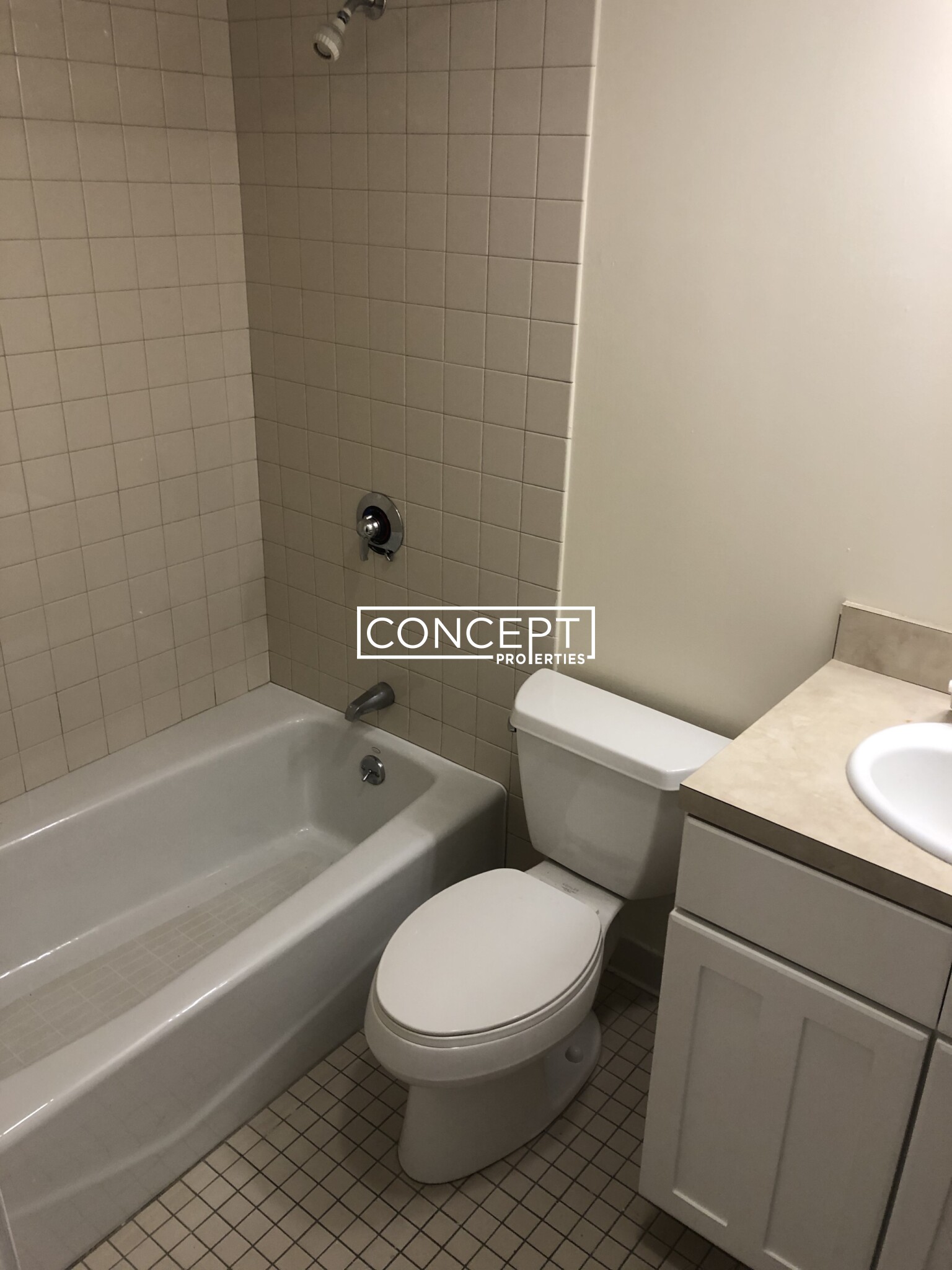 Concept Properties