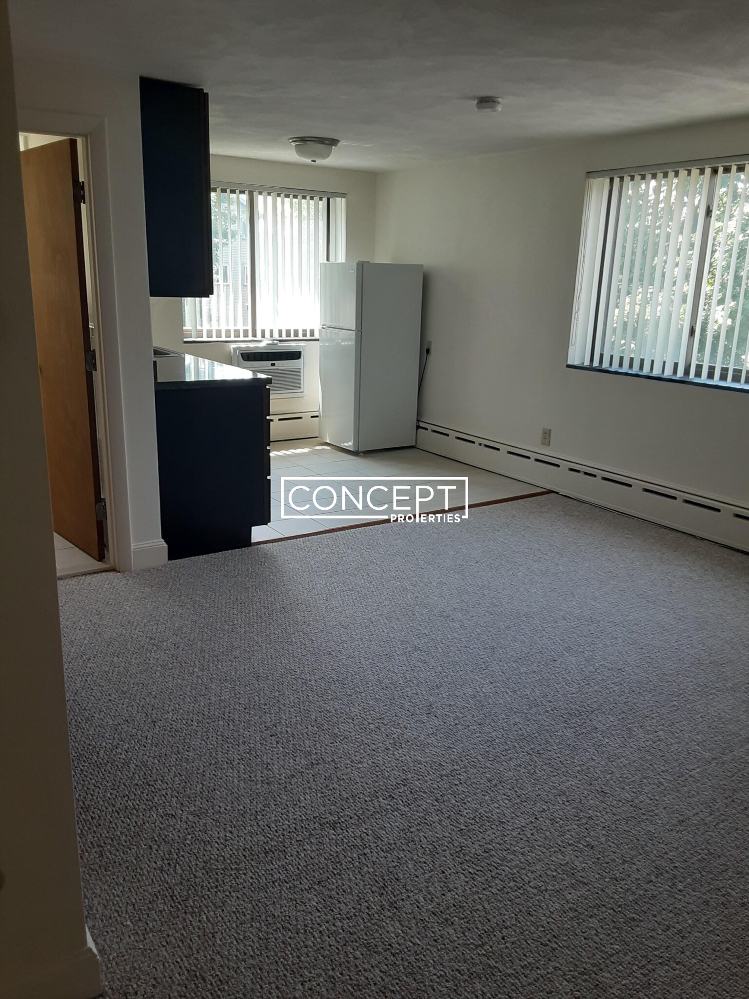 Concept Properties
