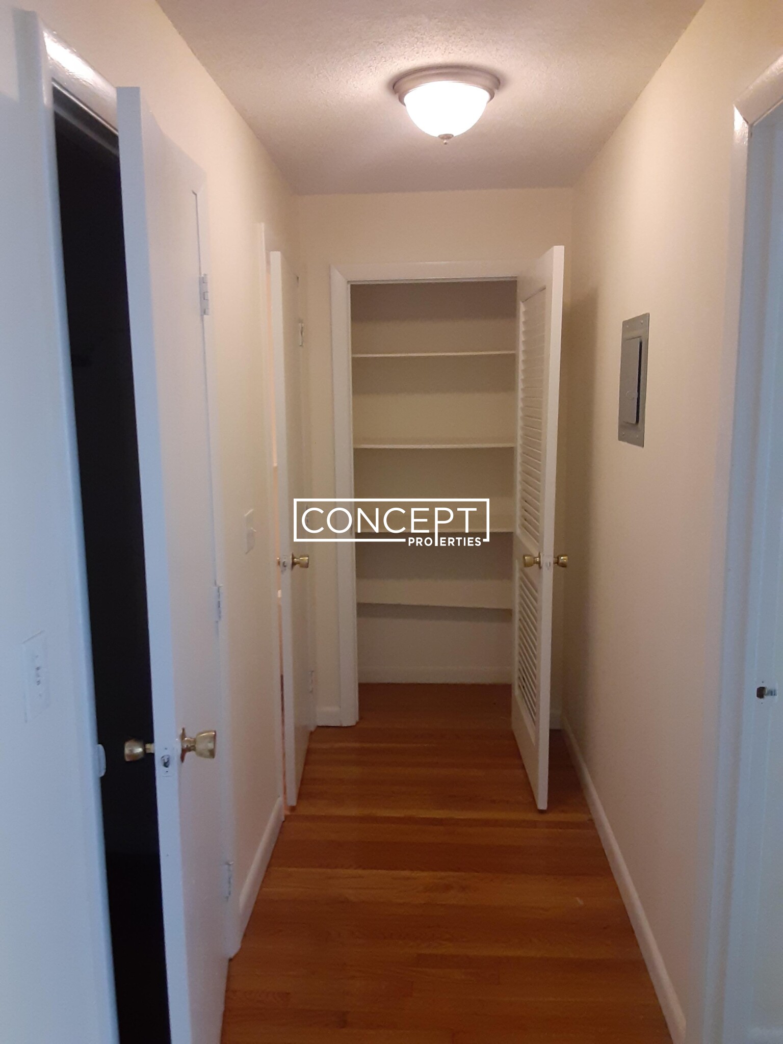 Concept Properties