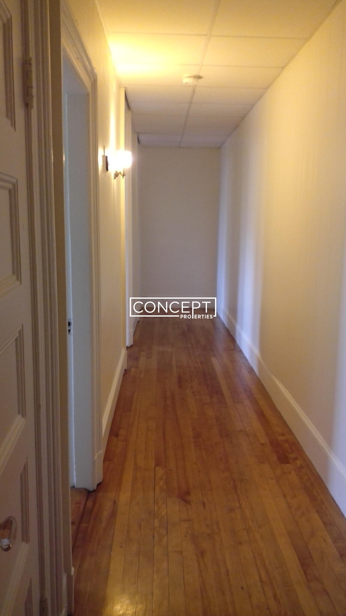 Concept Properties