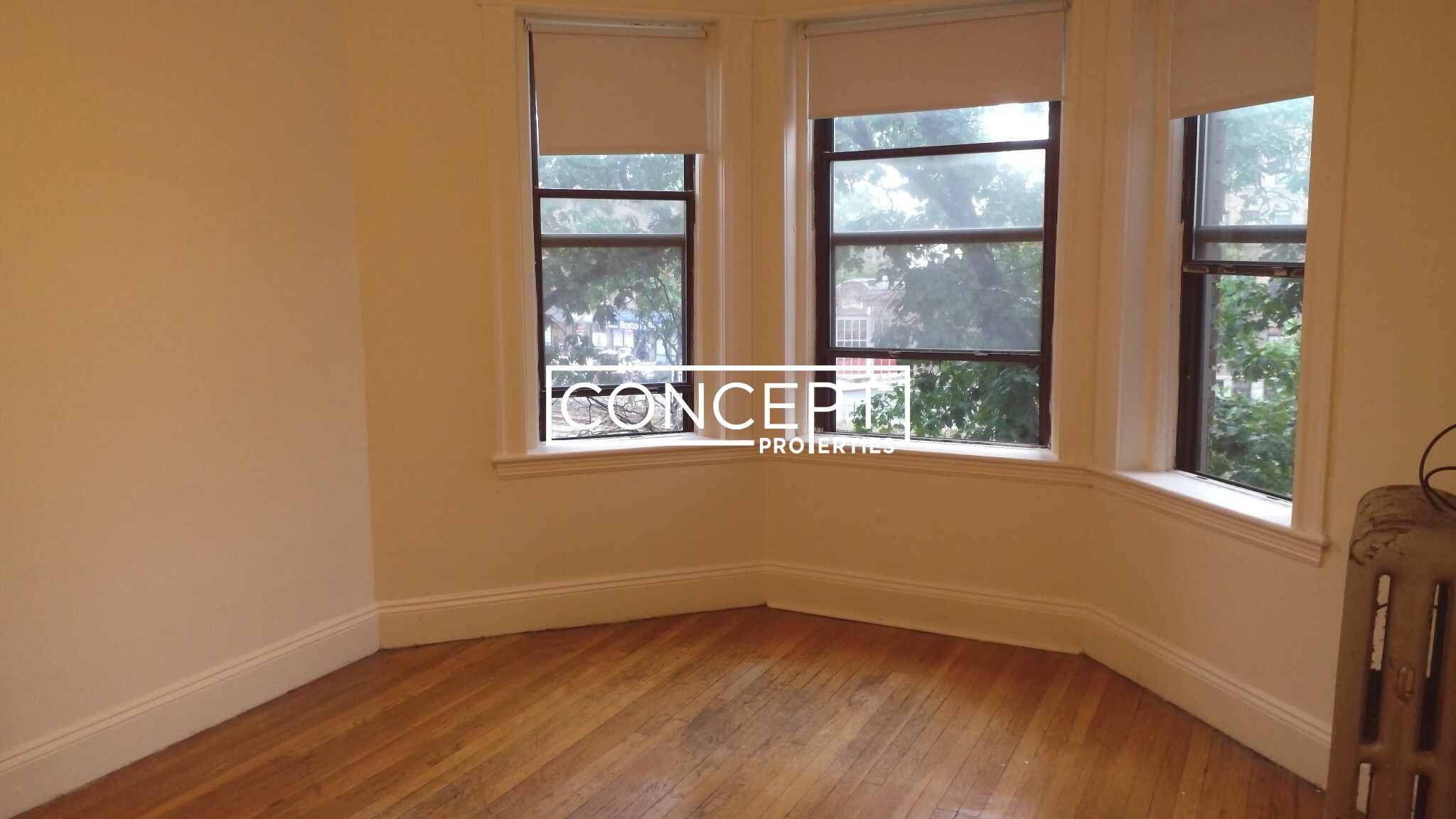 Concept Properties
