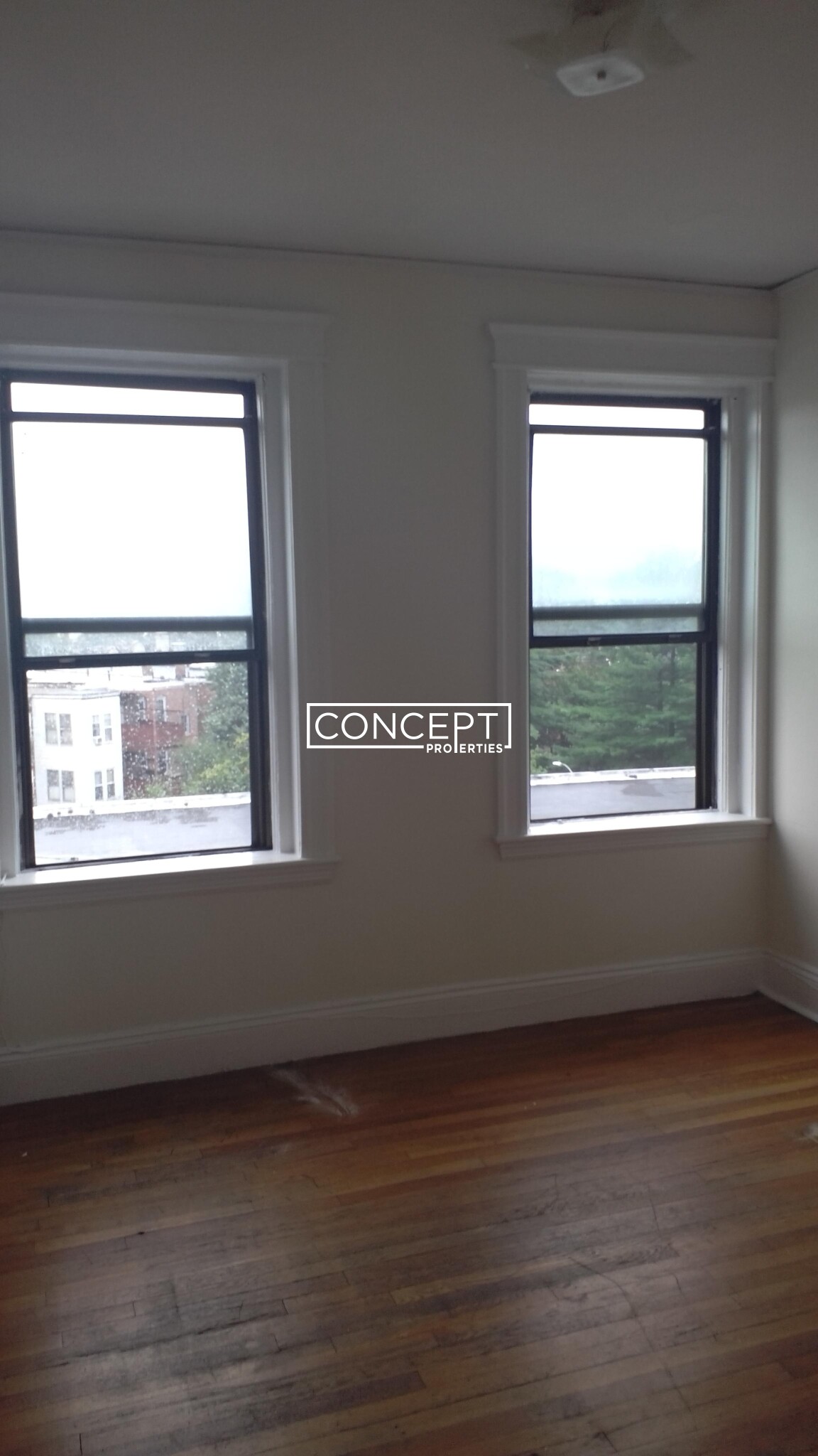 Concept Properties