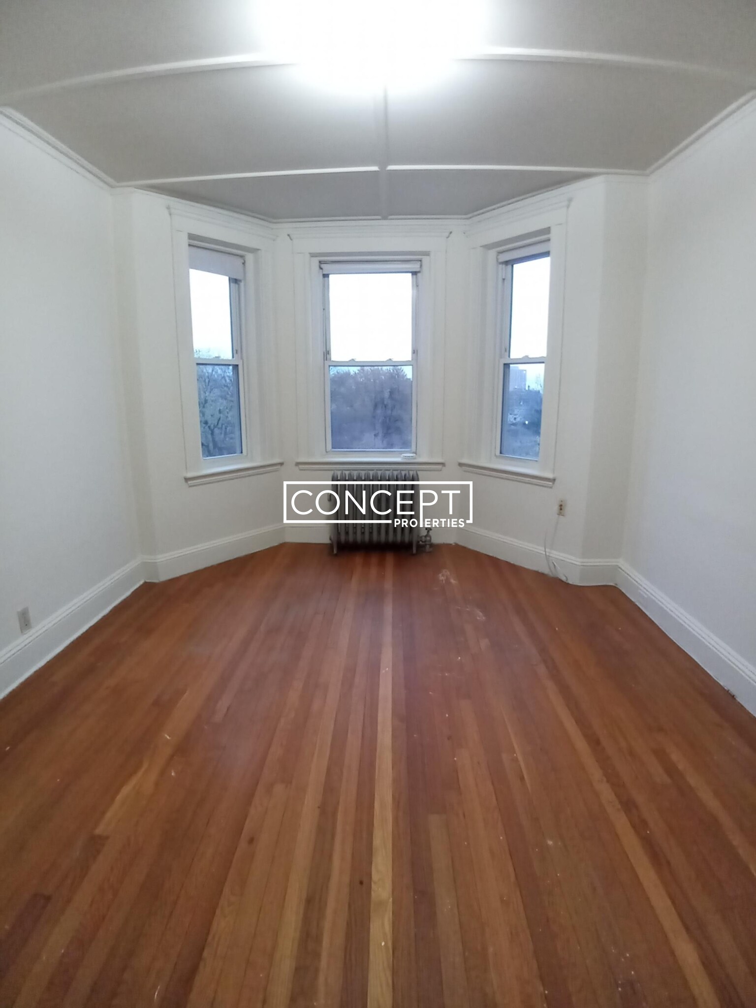 Concept Properties