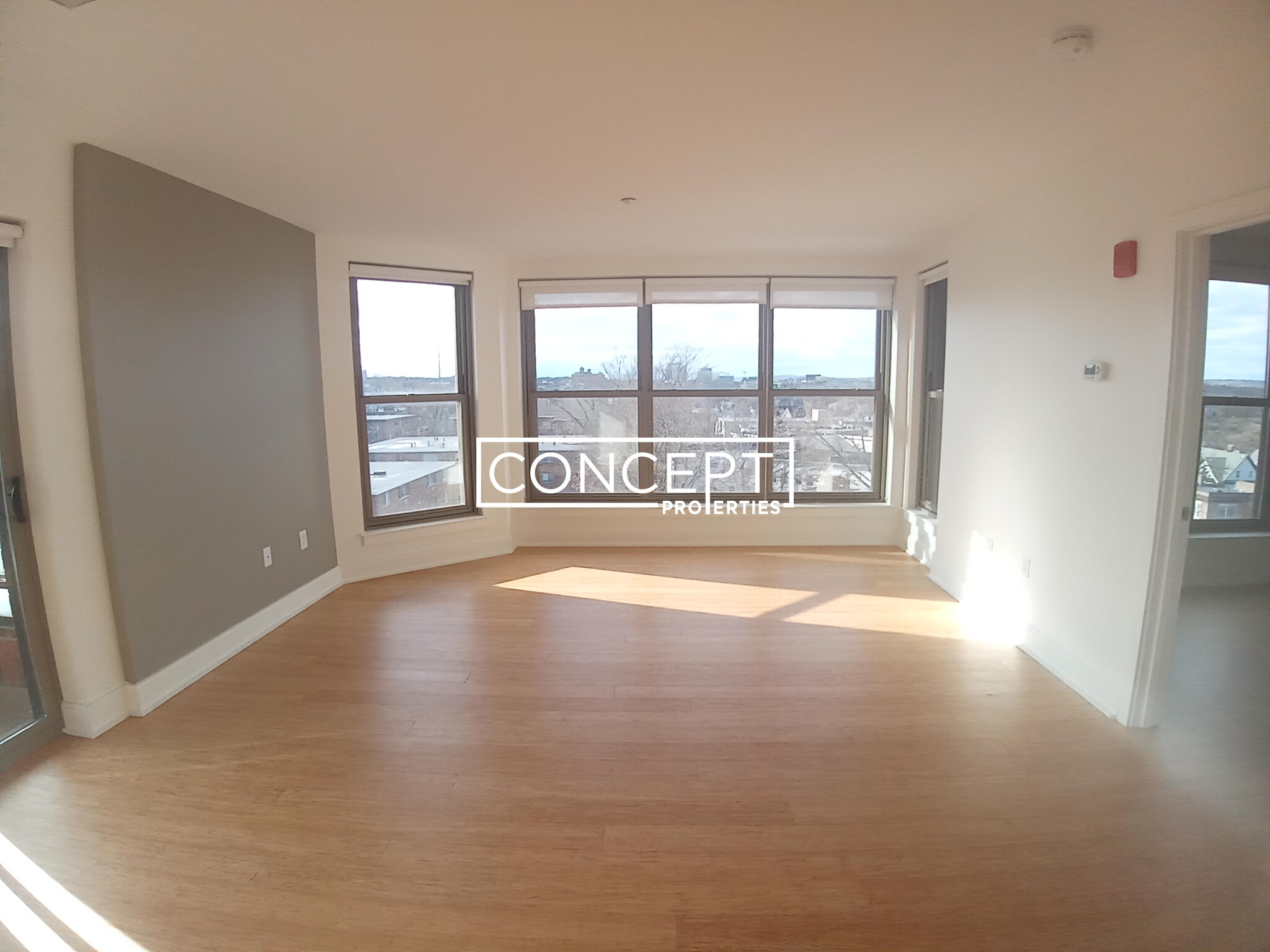 Concept Properties