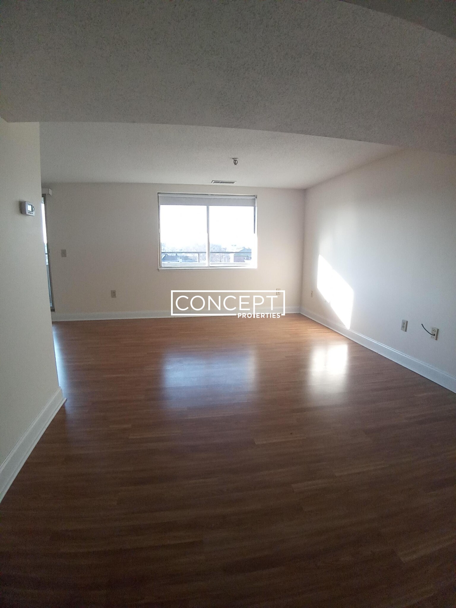 Concept Properties