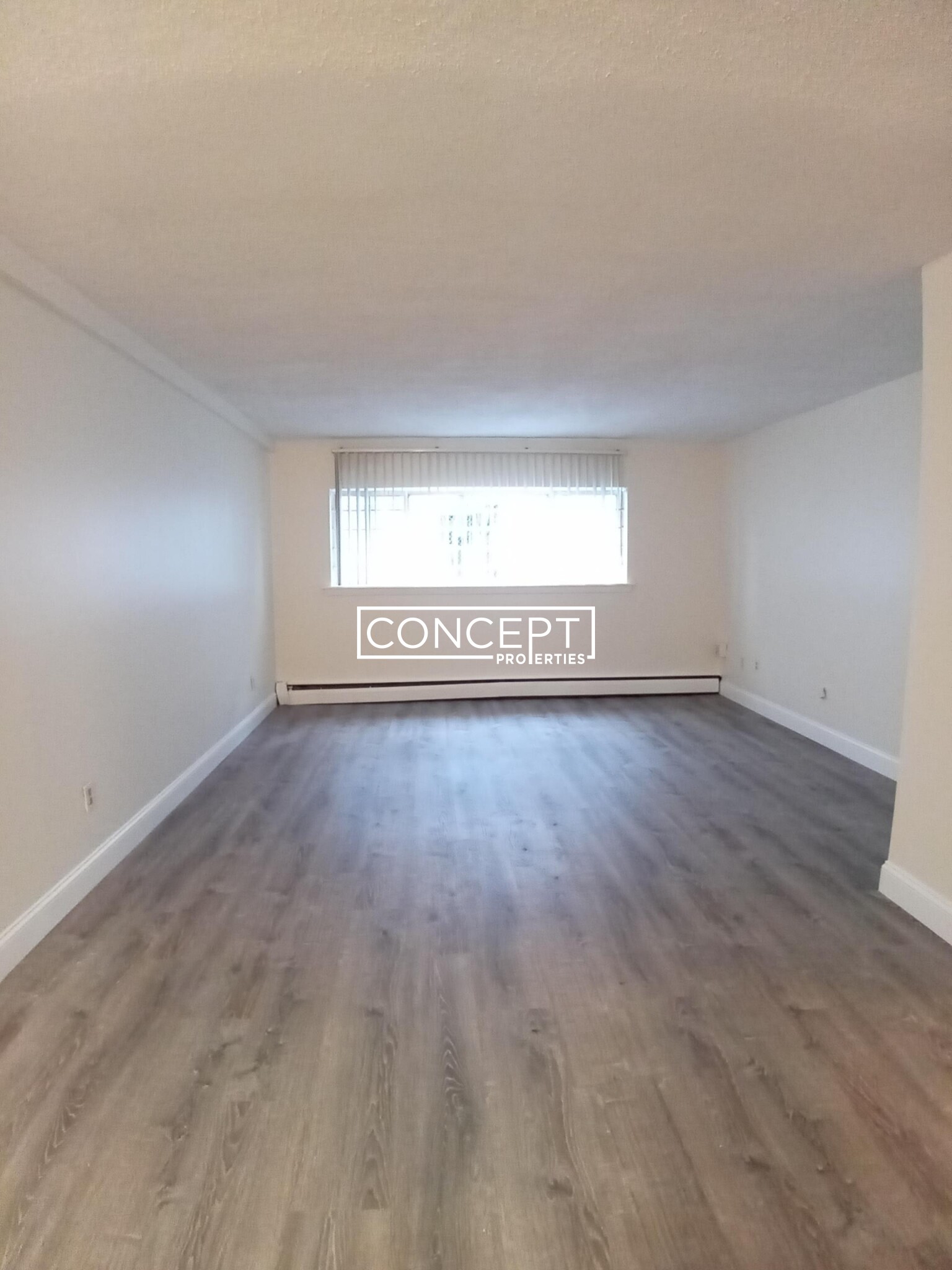 Concept Properties