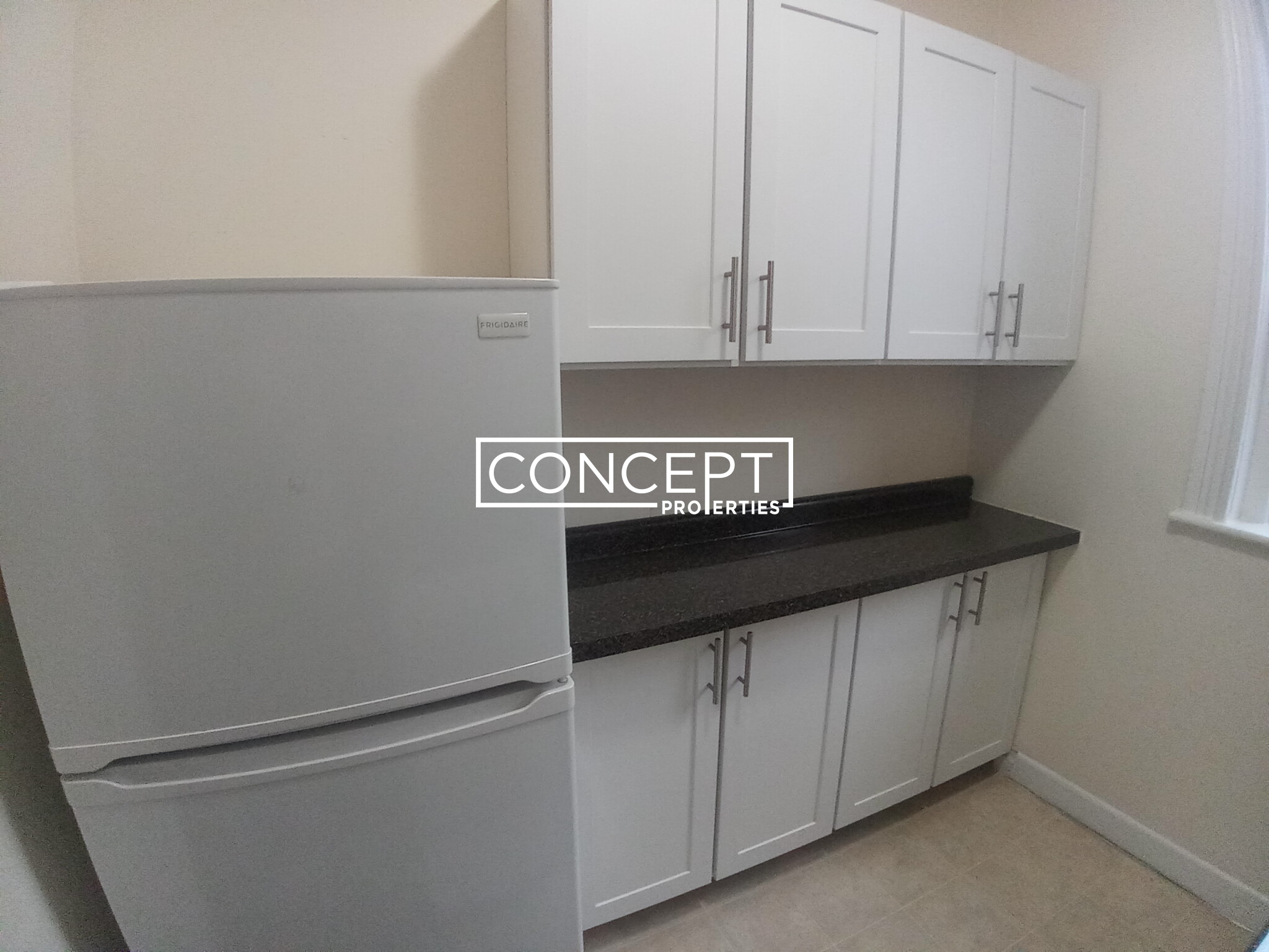 Concept Properties