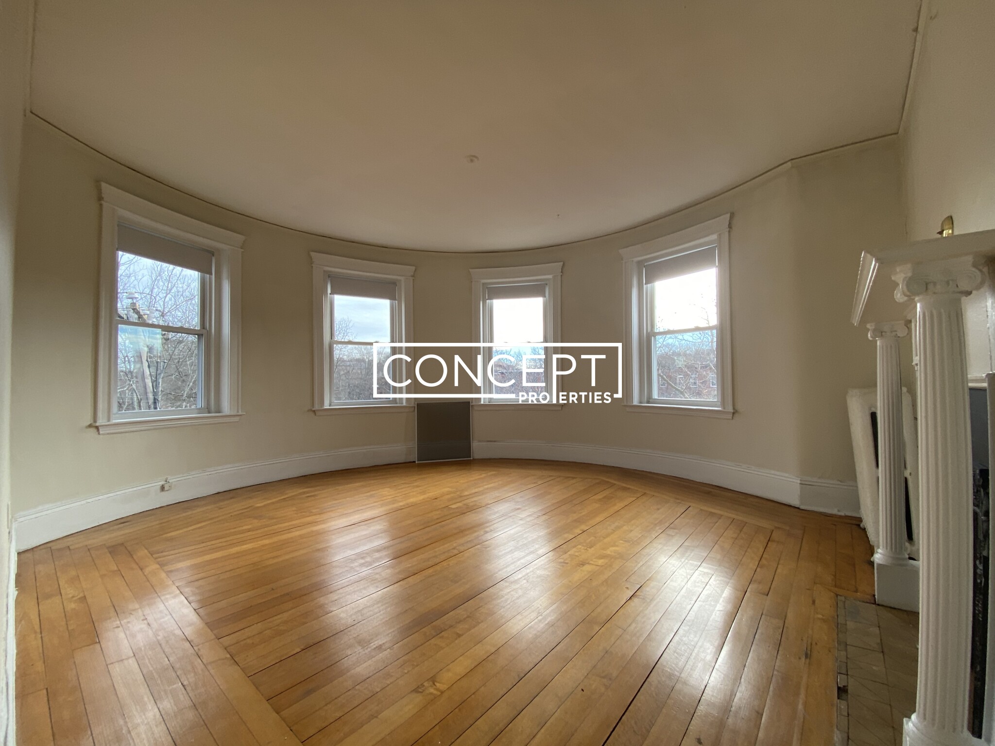 Concept Properties