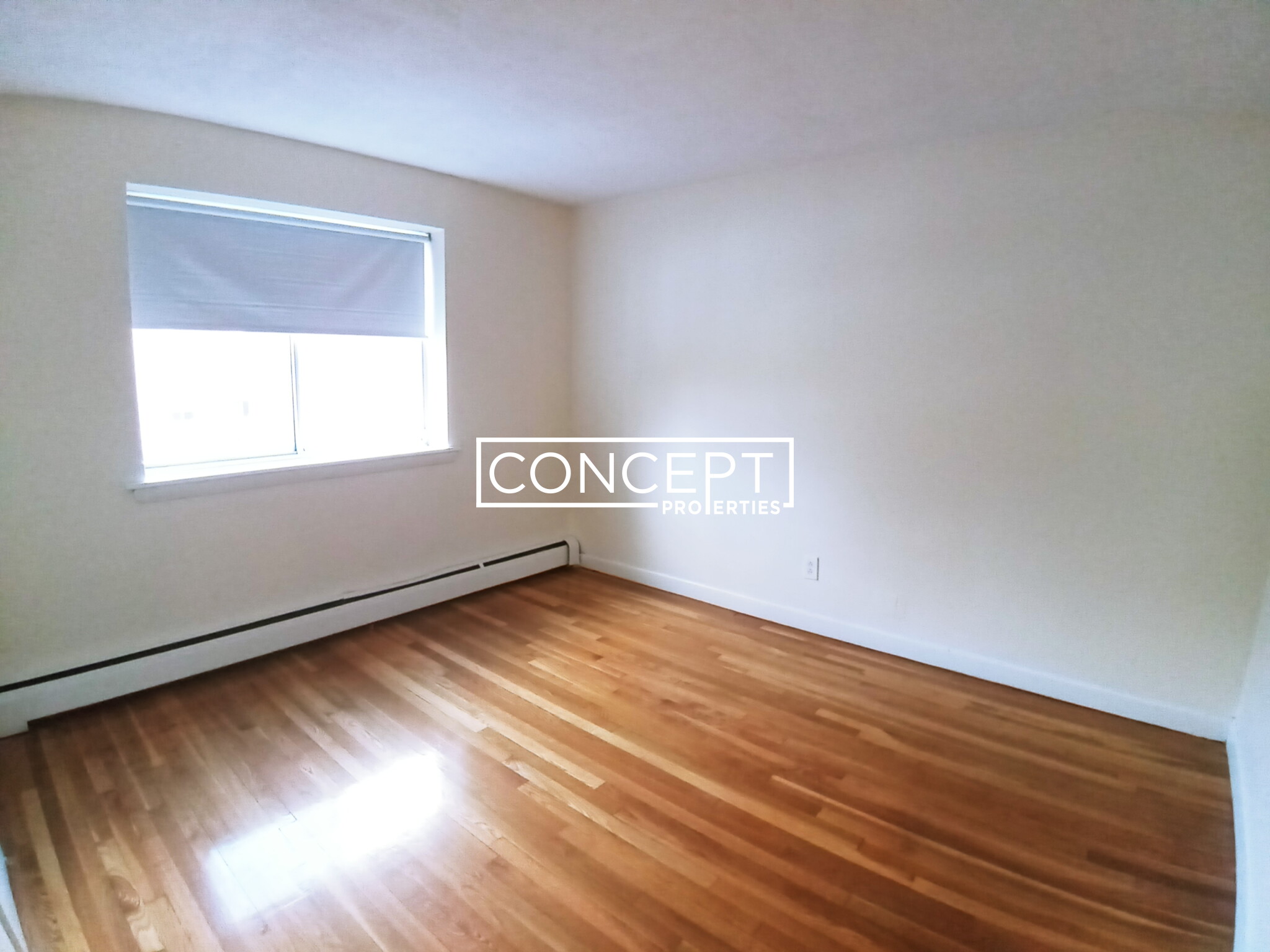 Concept Properties