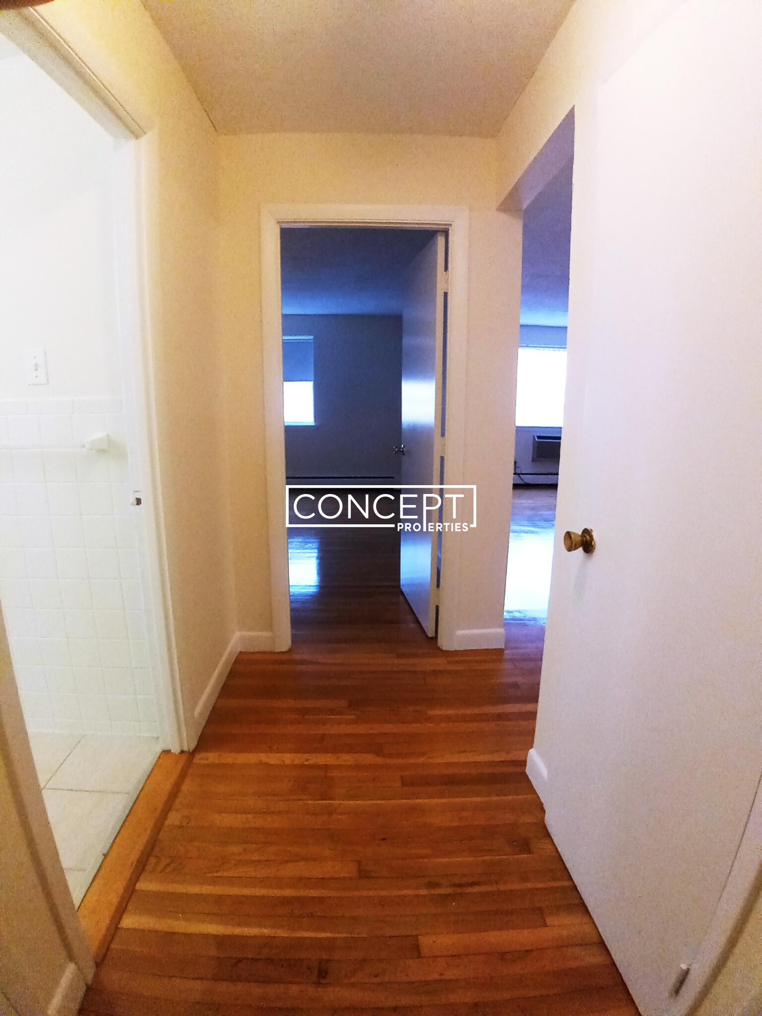 Concept Properties
