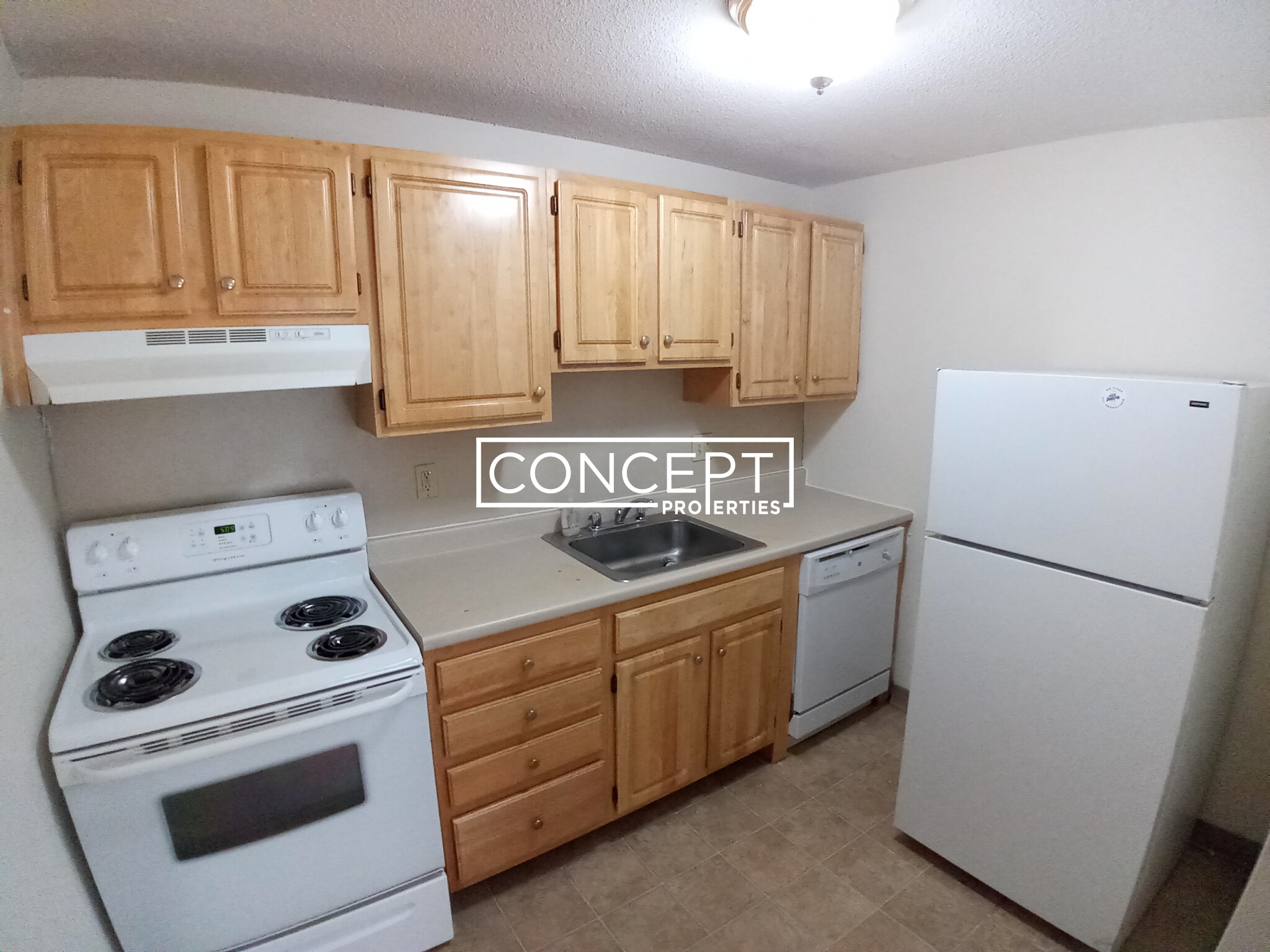 Concept Properties