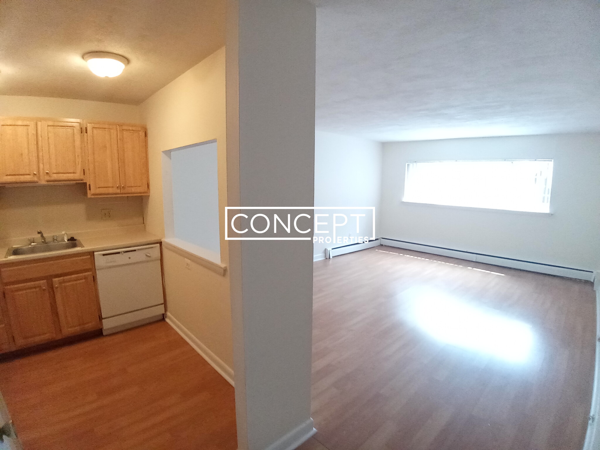 Concept Properties