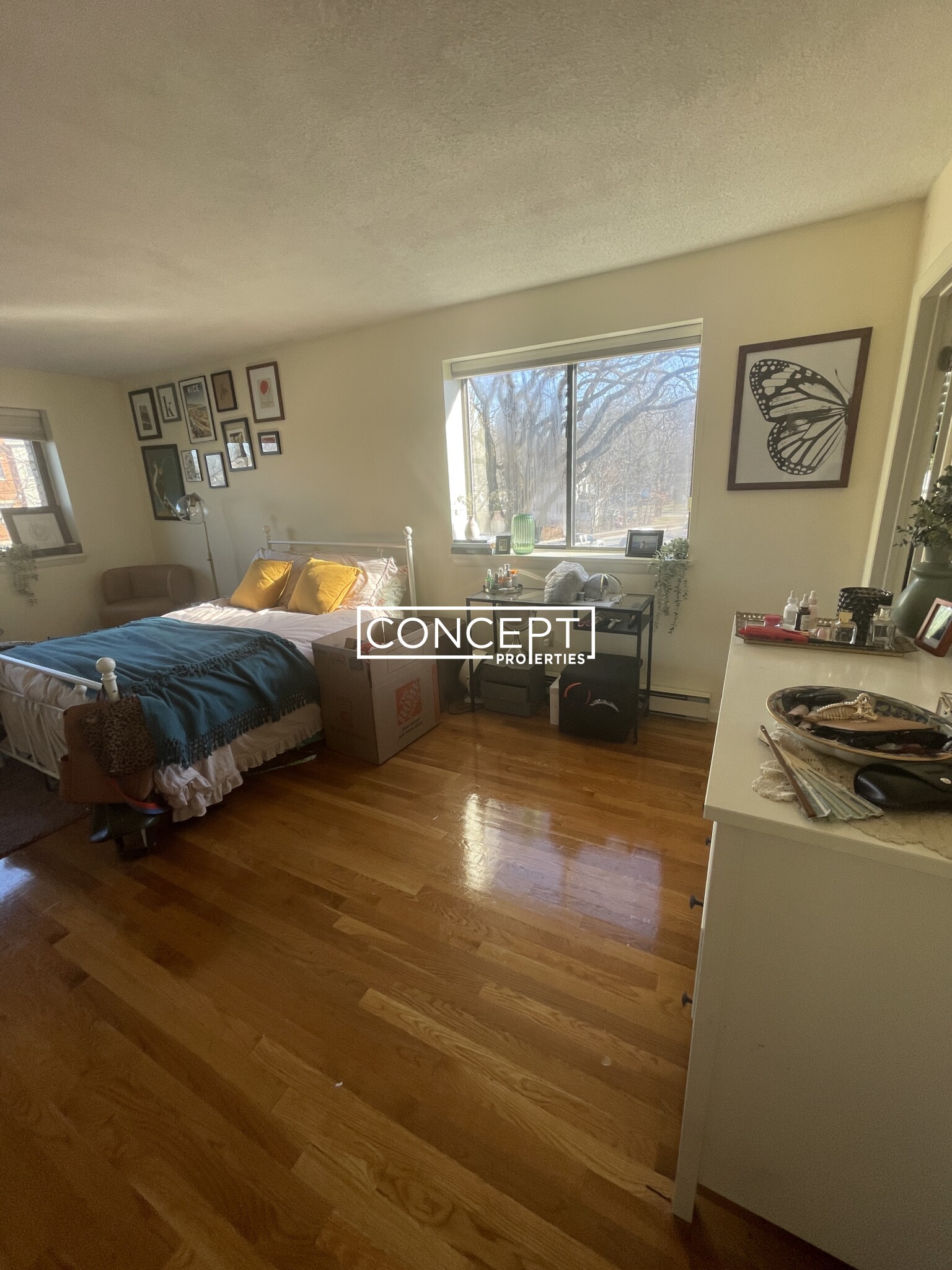 320 Hammond Pond Pkwa, Chestnut Hill