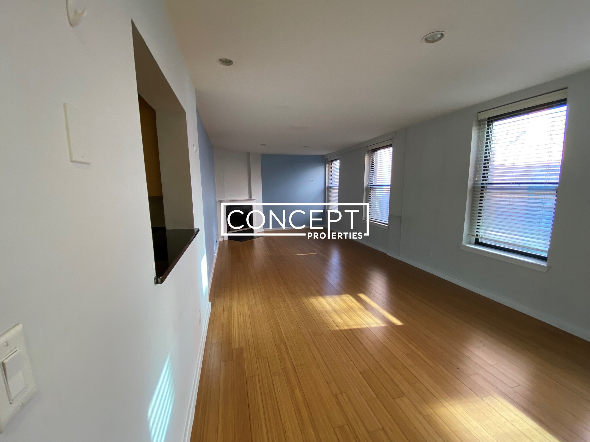 Concept Properties