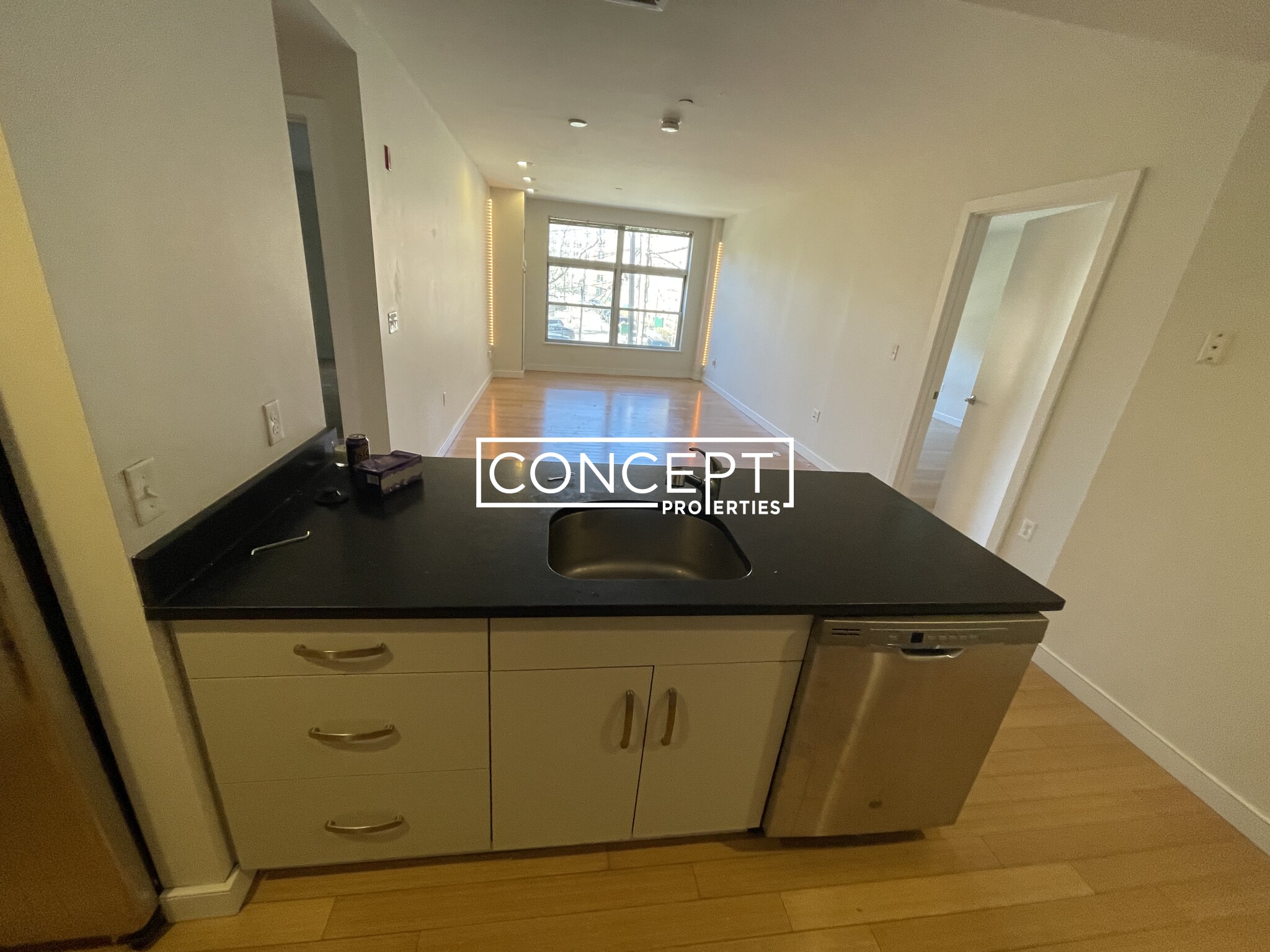 601.1 Albany St, South End