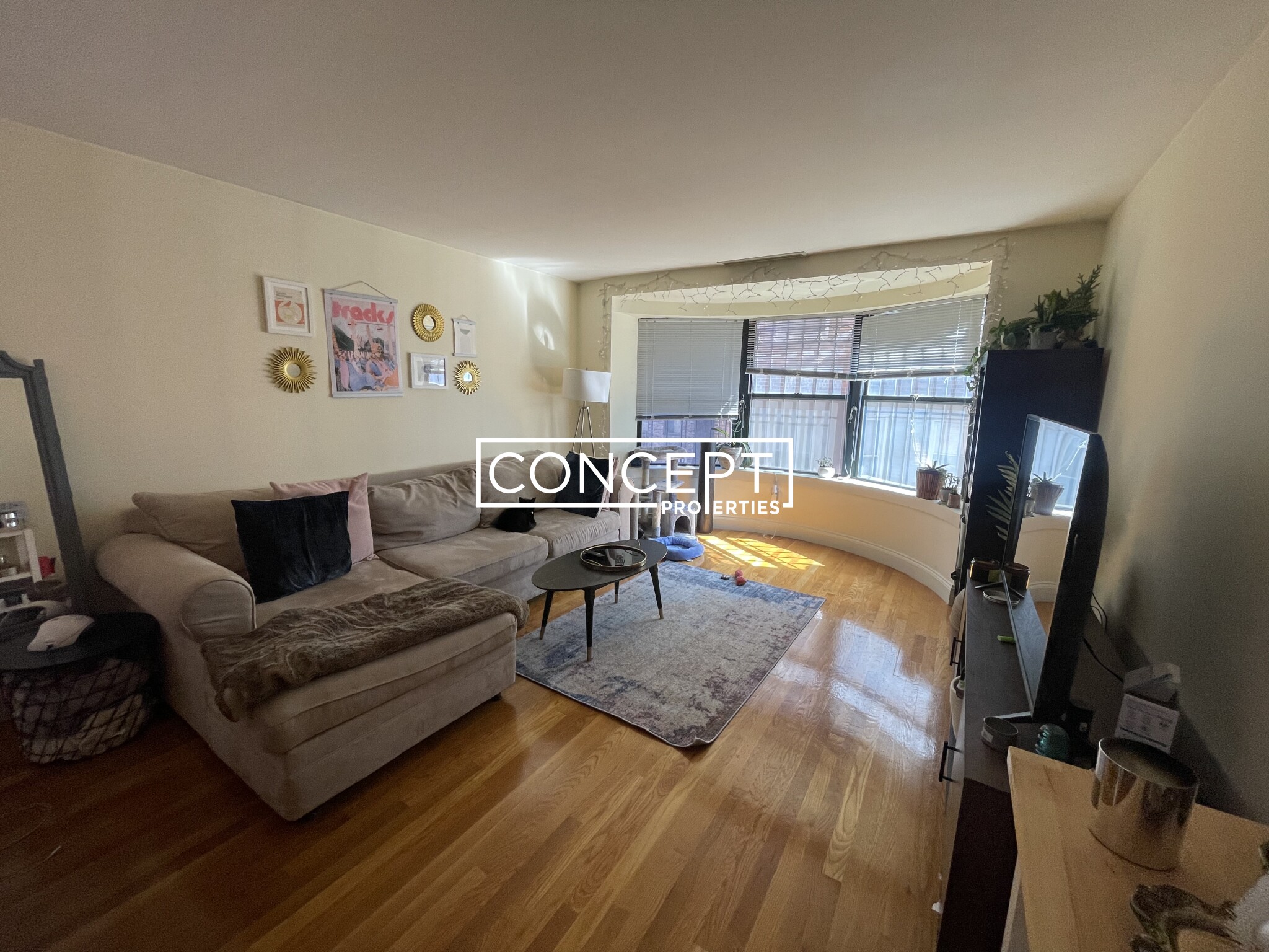 100 Jersey St, Fenway