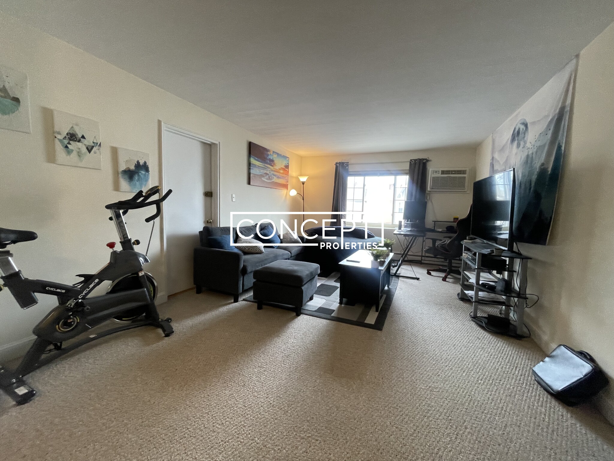 Concept Properties