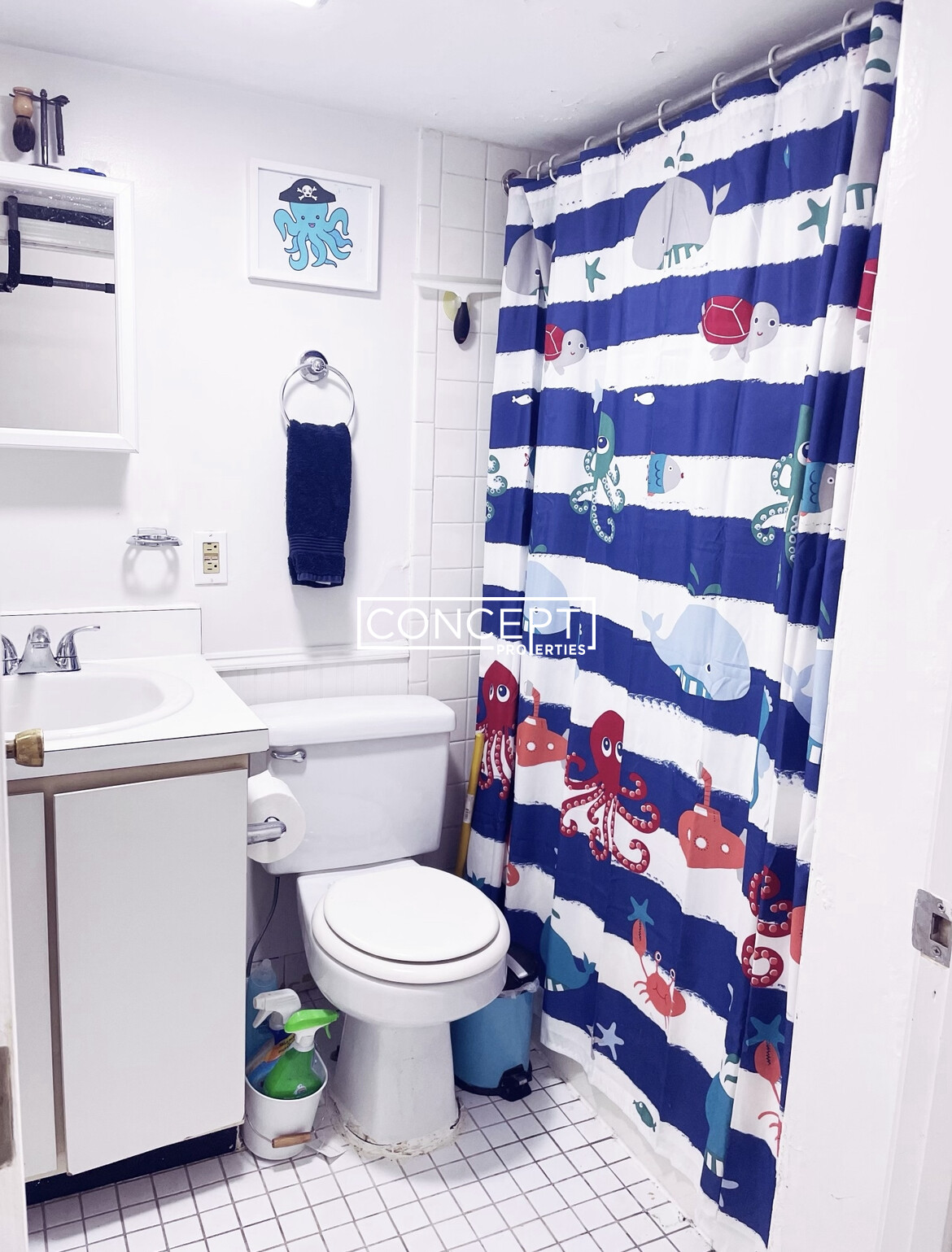 88 West Cedar St, Beacon Hill