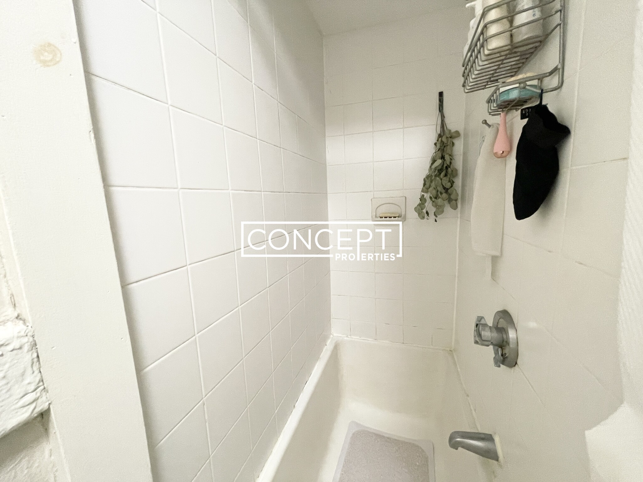 58 Anderson St, Beacon Hill