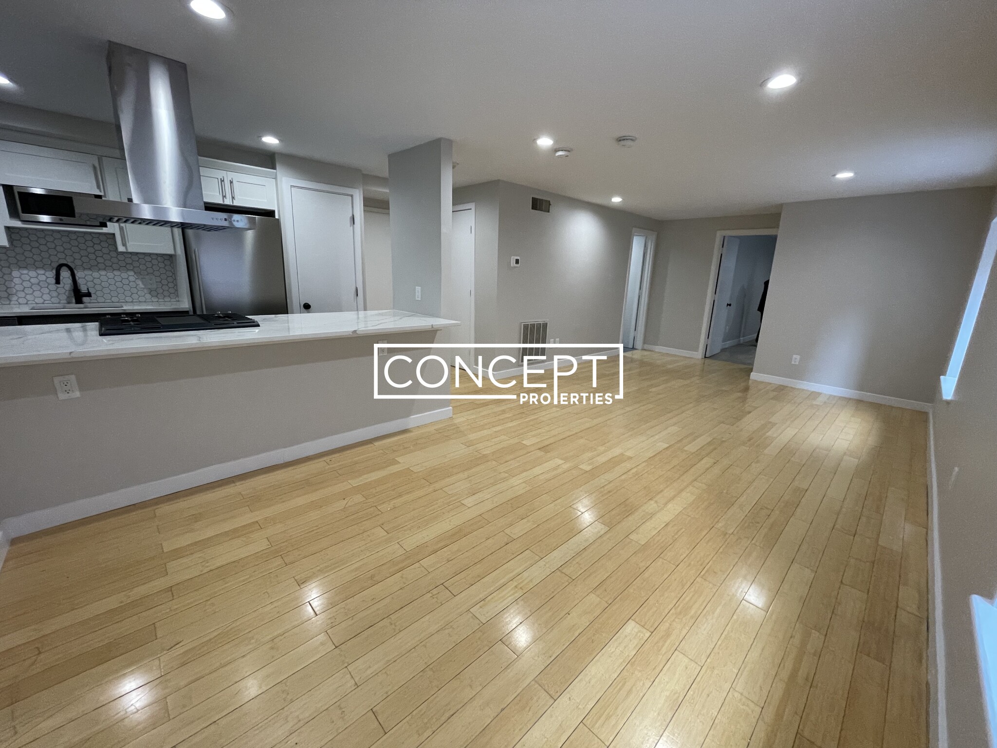 Concept Properties
