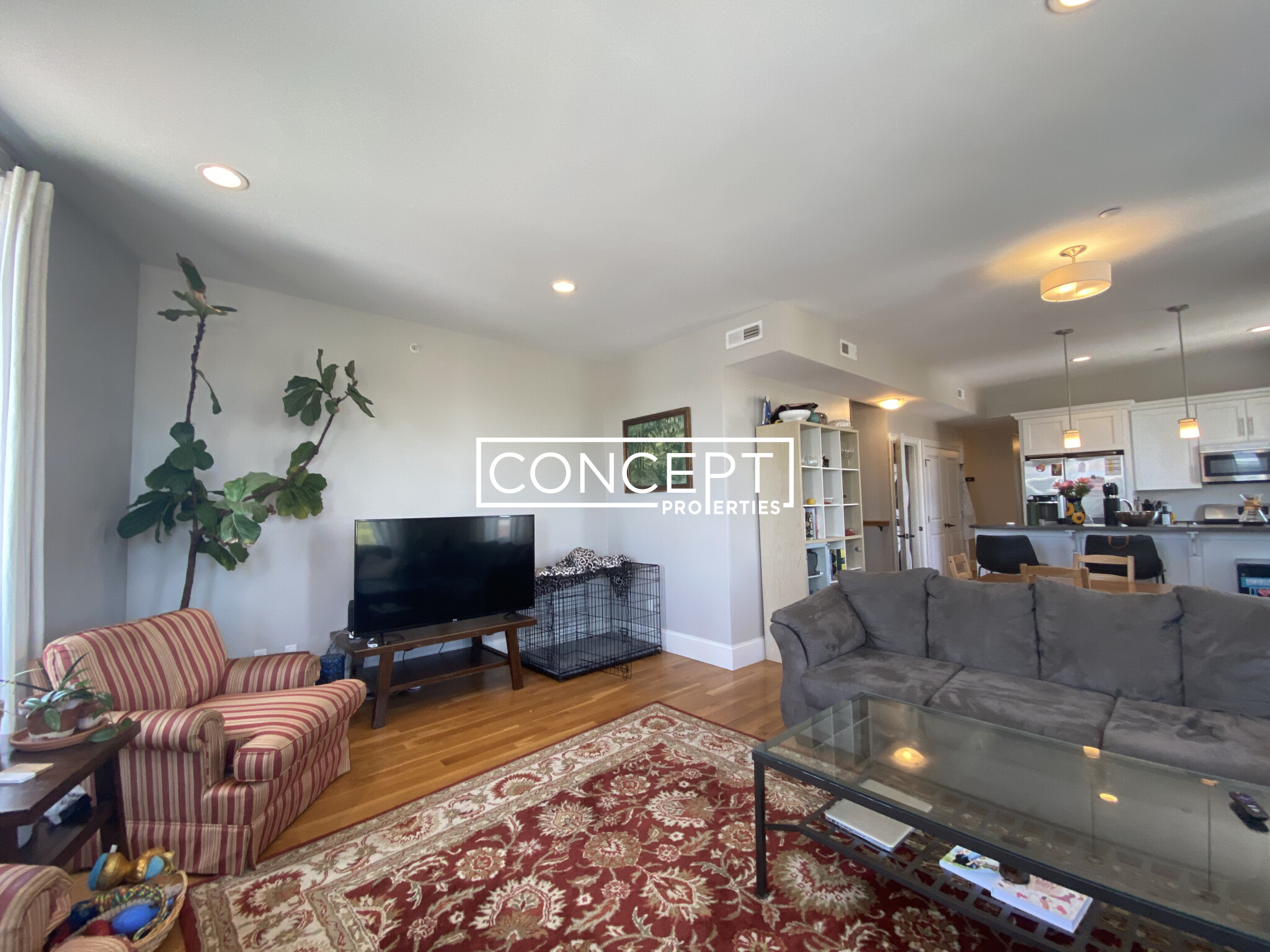 Concept Properties