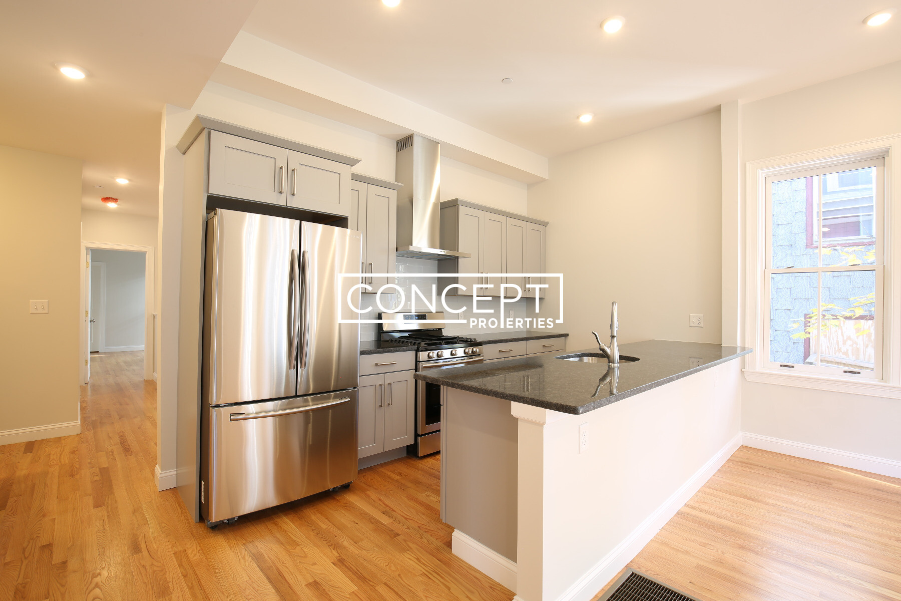 Concept Properties