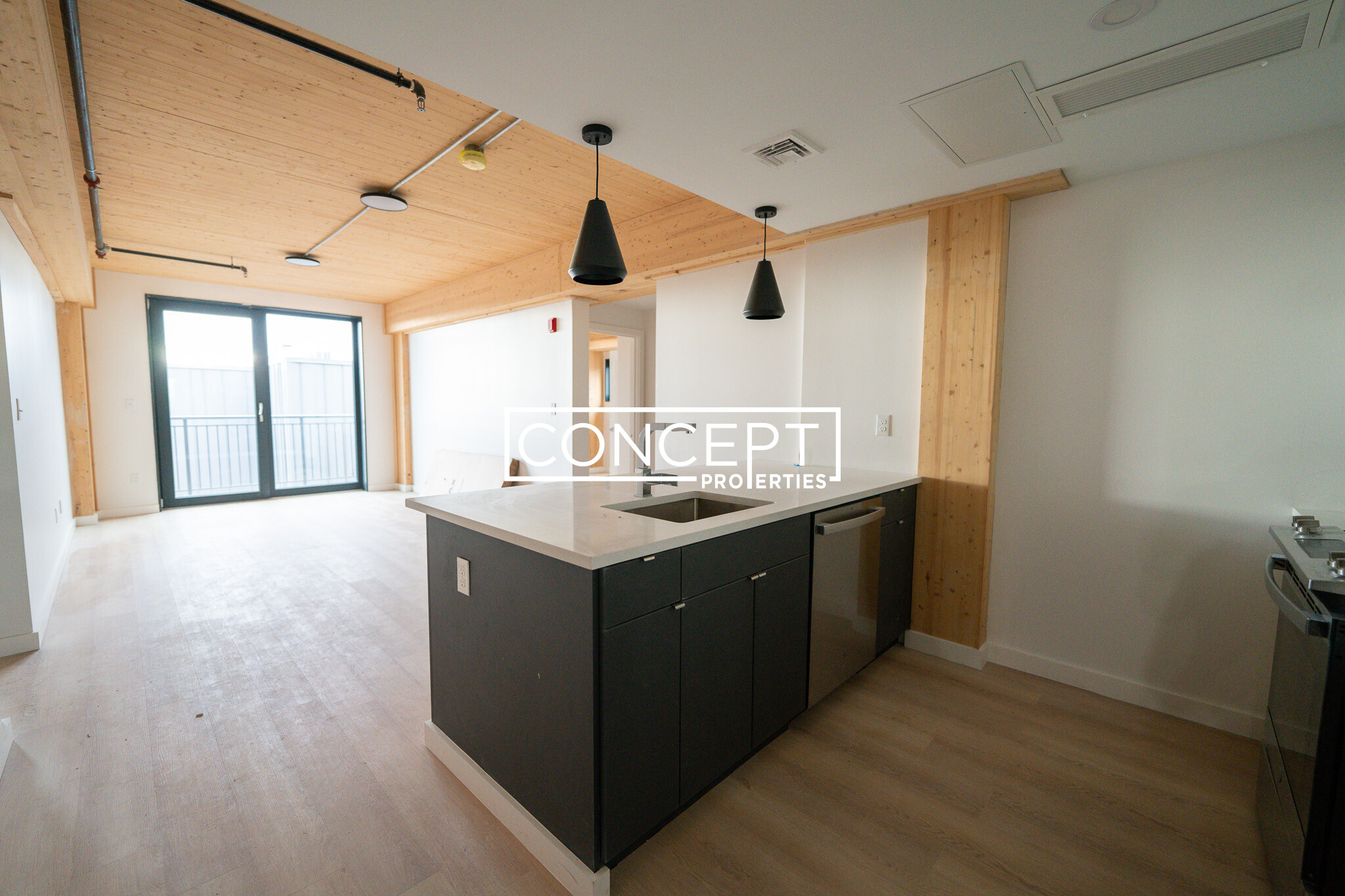 Concept Properties