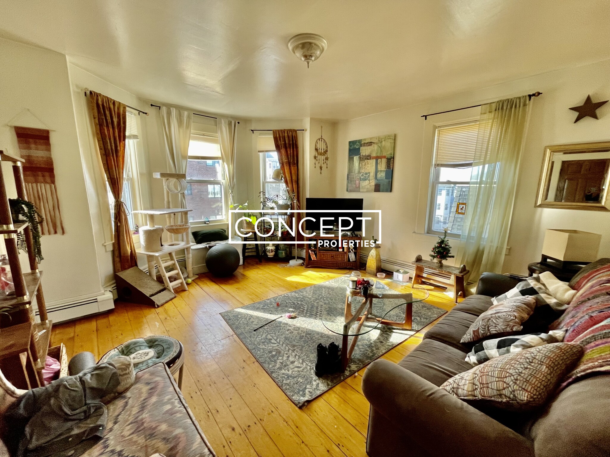 203 Hillside St, Mission Hill