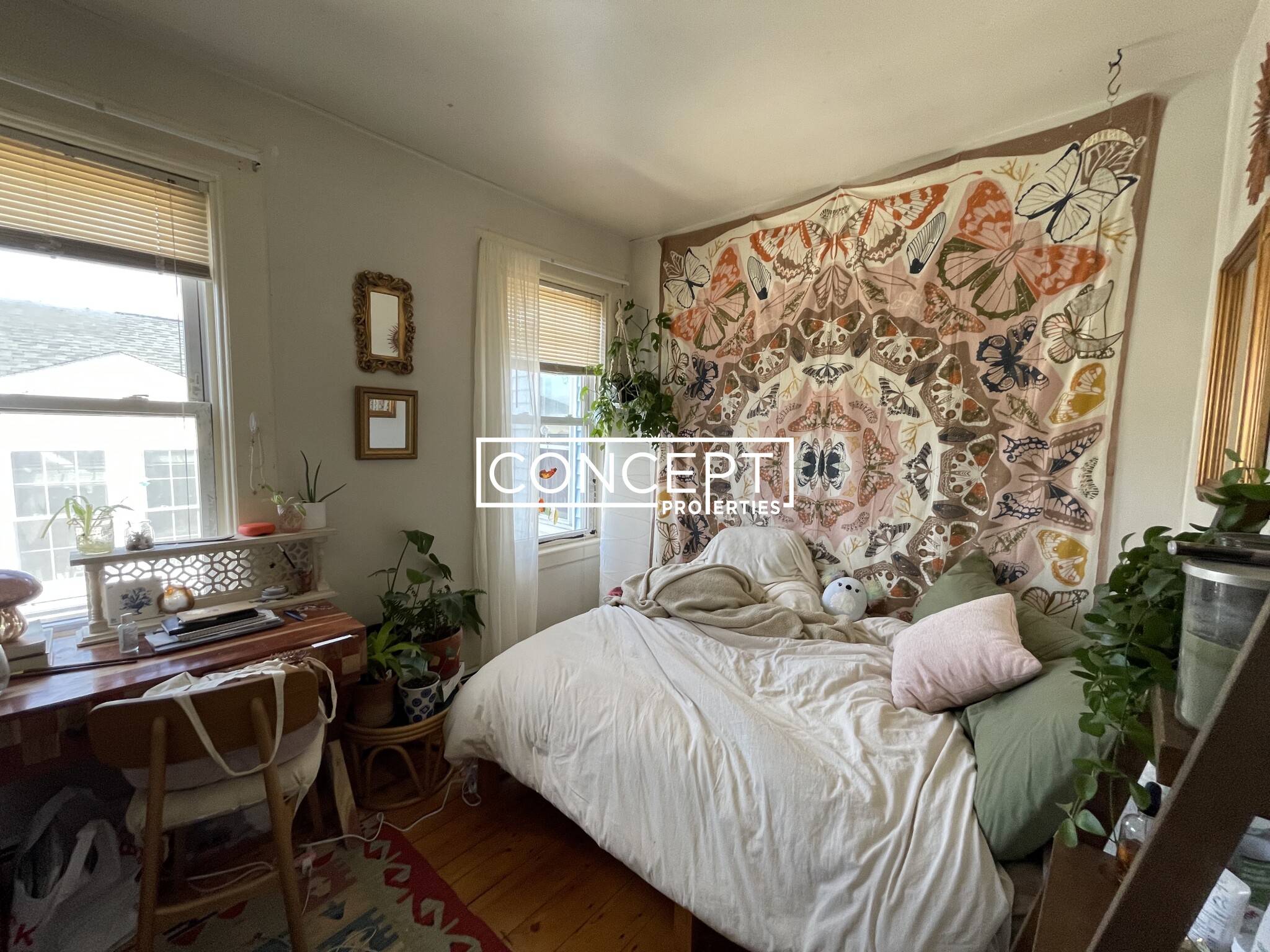 203 Hillside St, Mission Hill