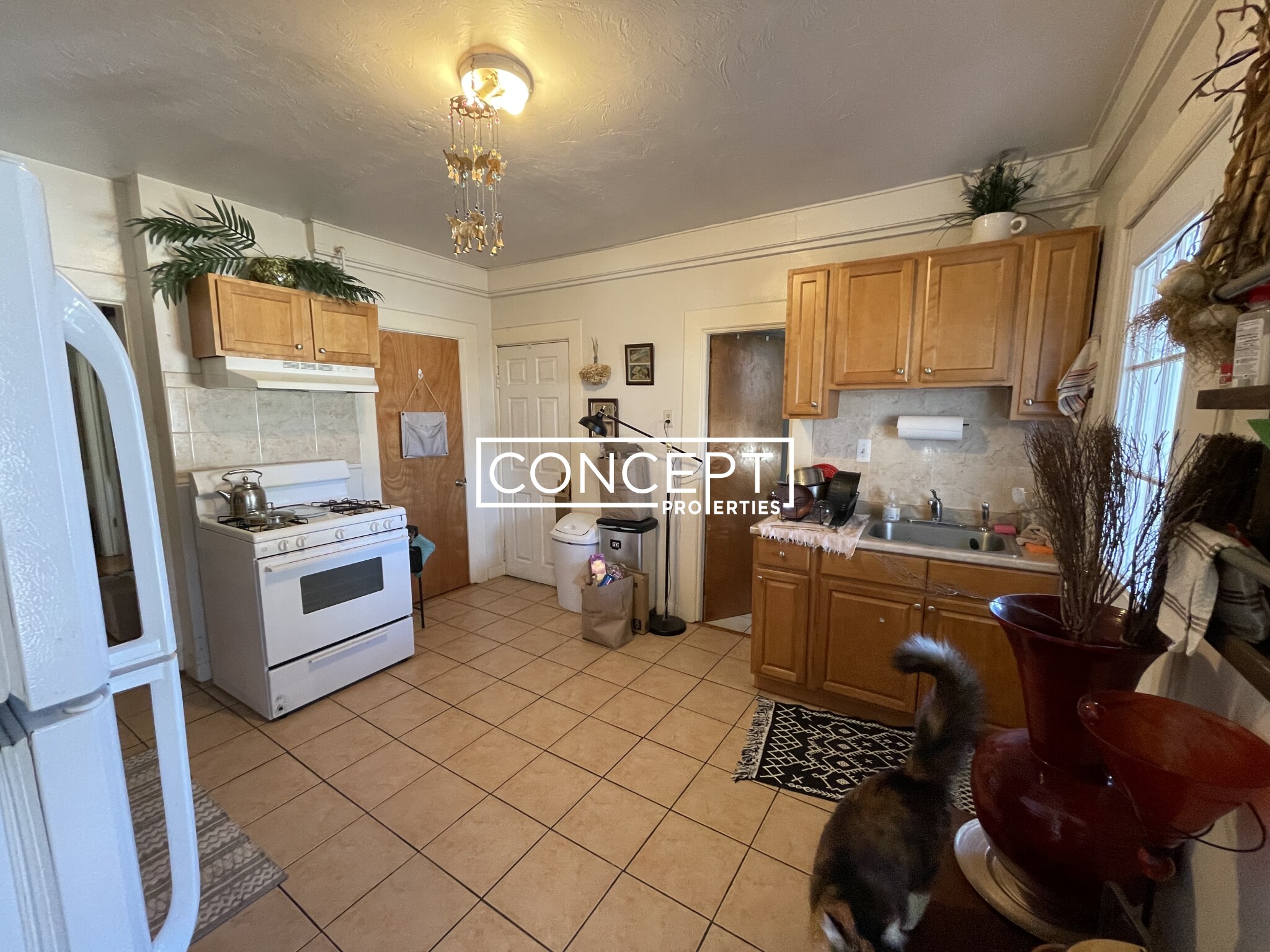 203 Hillside St, Mission Hill