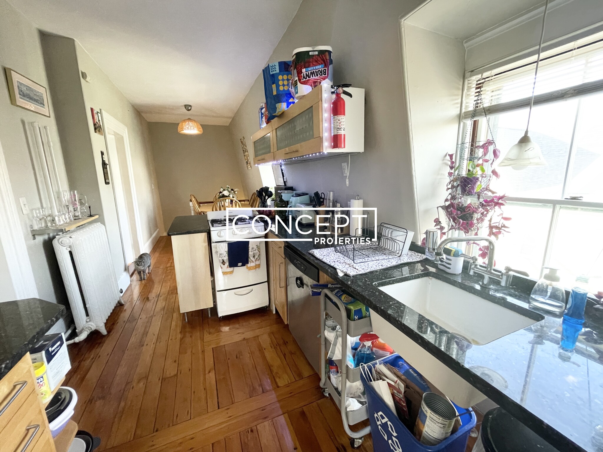 Concept Properties