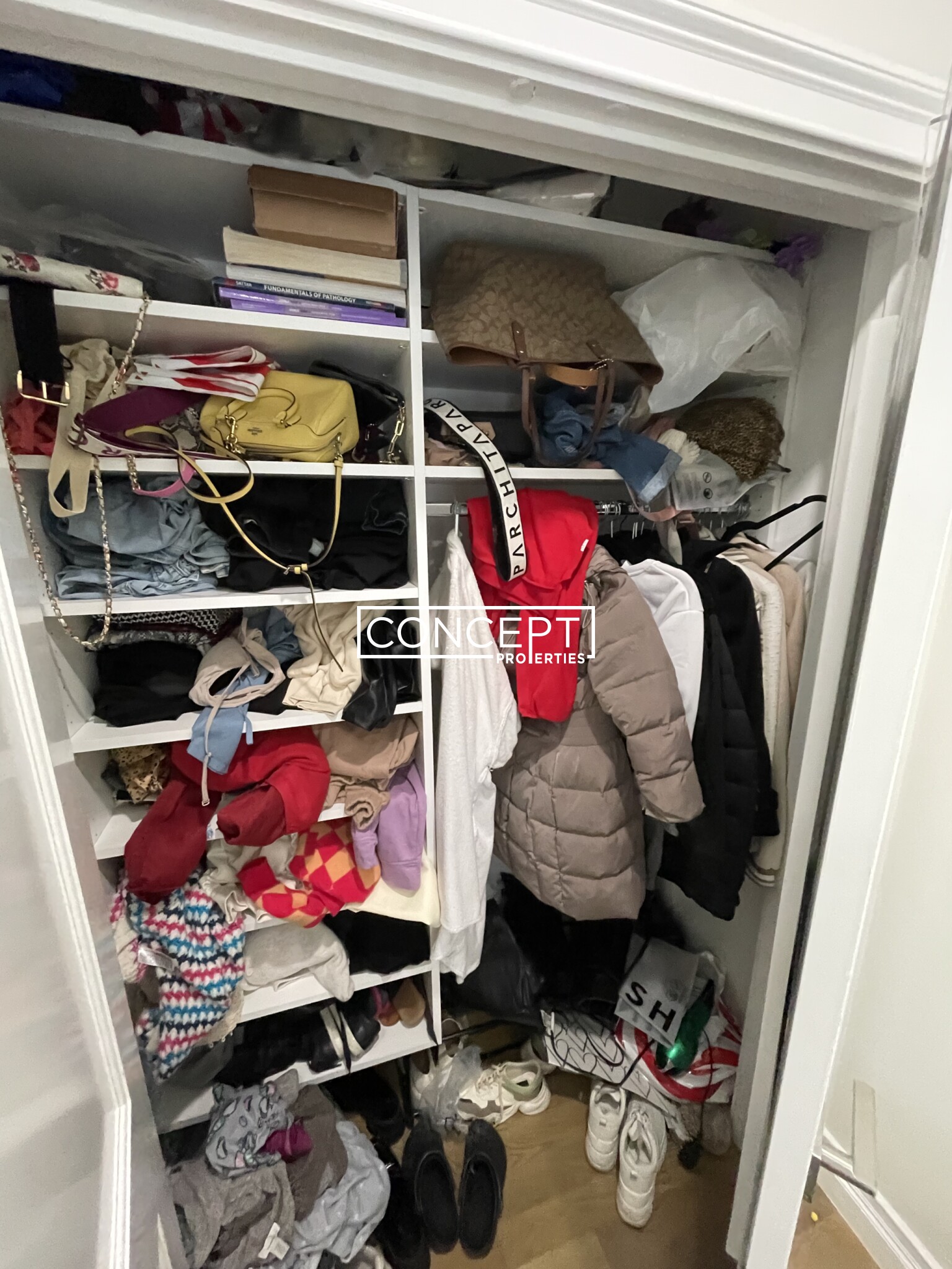 14 Mount Hood Rd, Brighton