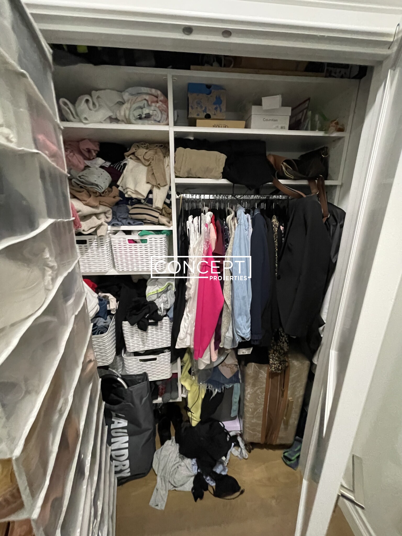 14 Mount Hood Rd, Brighton