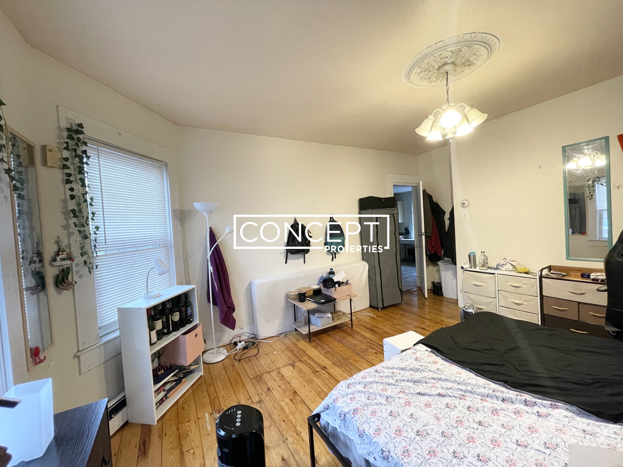 14 Sheperd Ave, Fenway