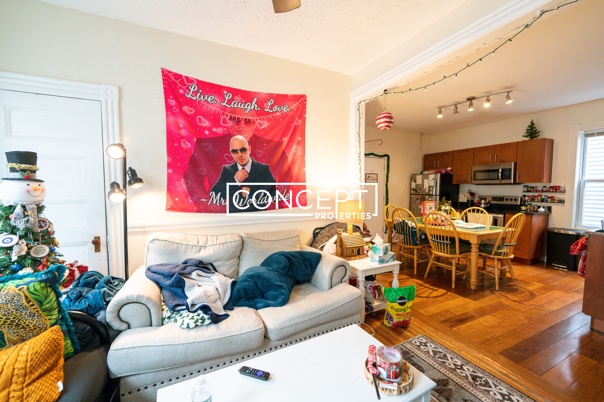 20 Lawn St, Mission Hill