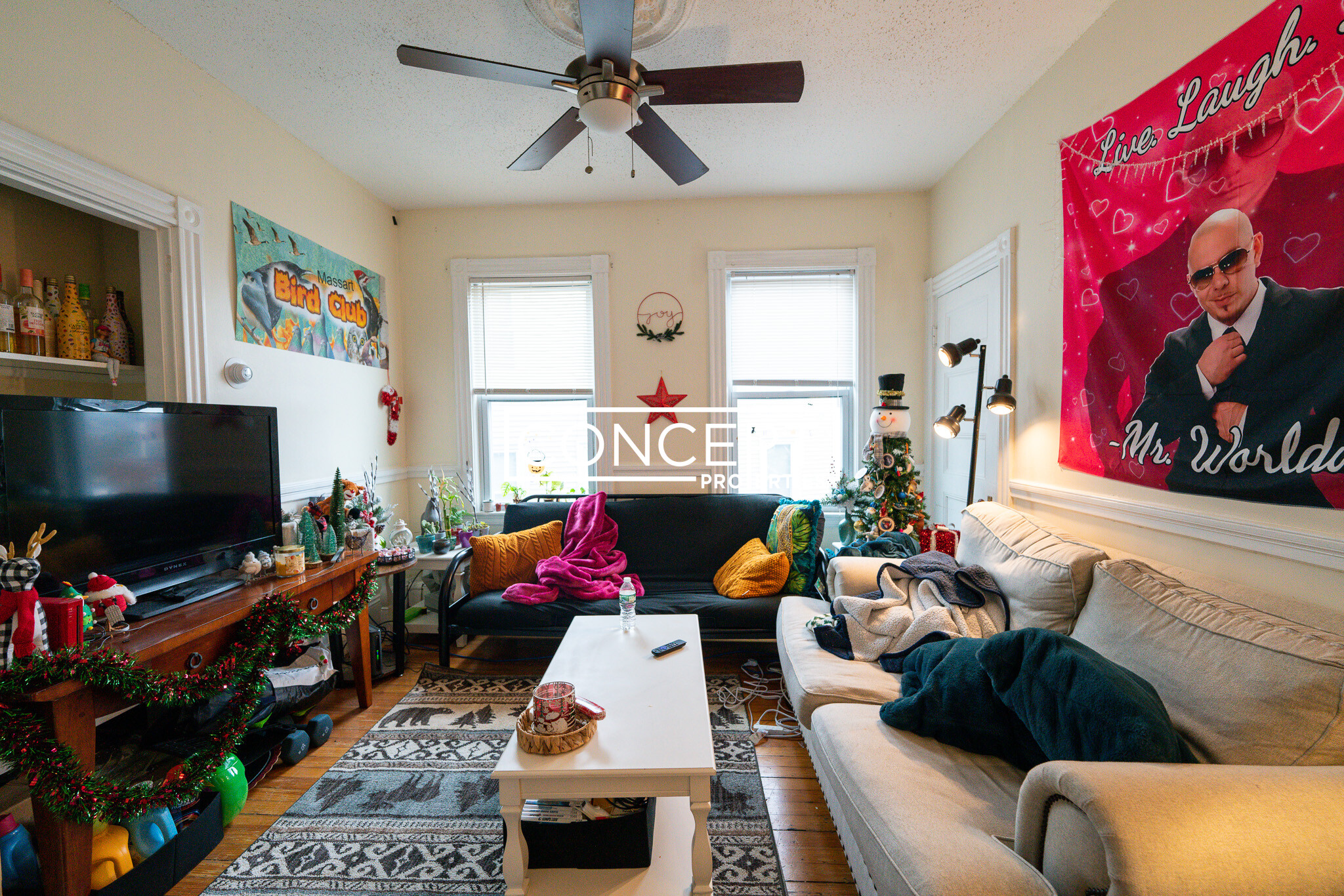 20 Lawn St, Mission Hill