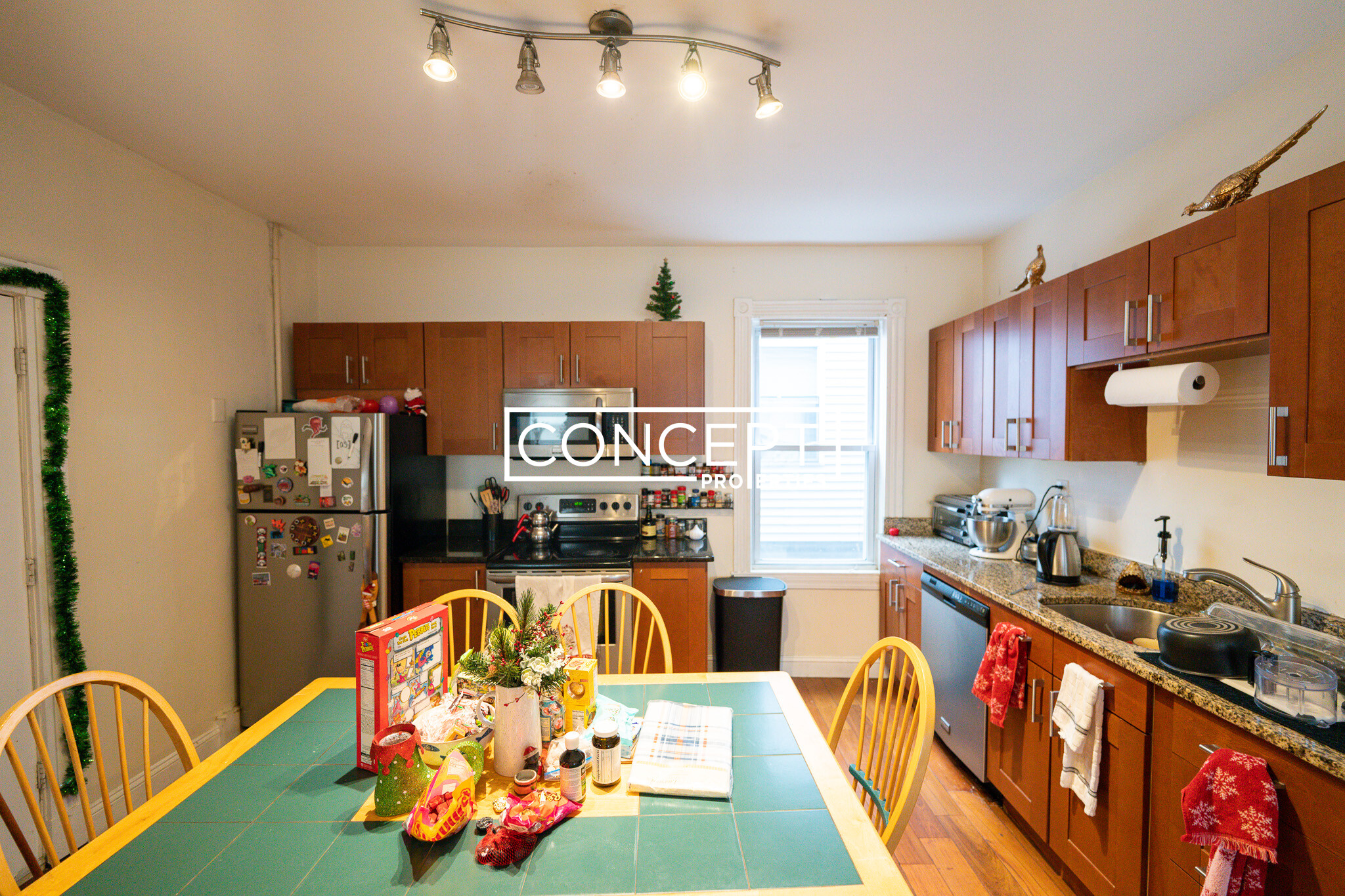 20 Lawn St, Mission Hill