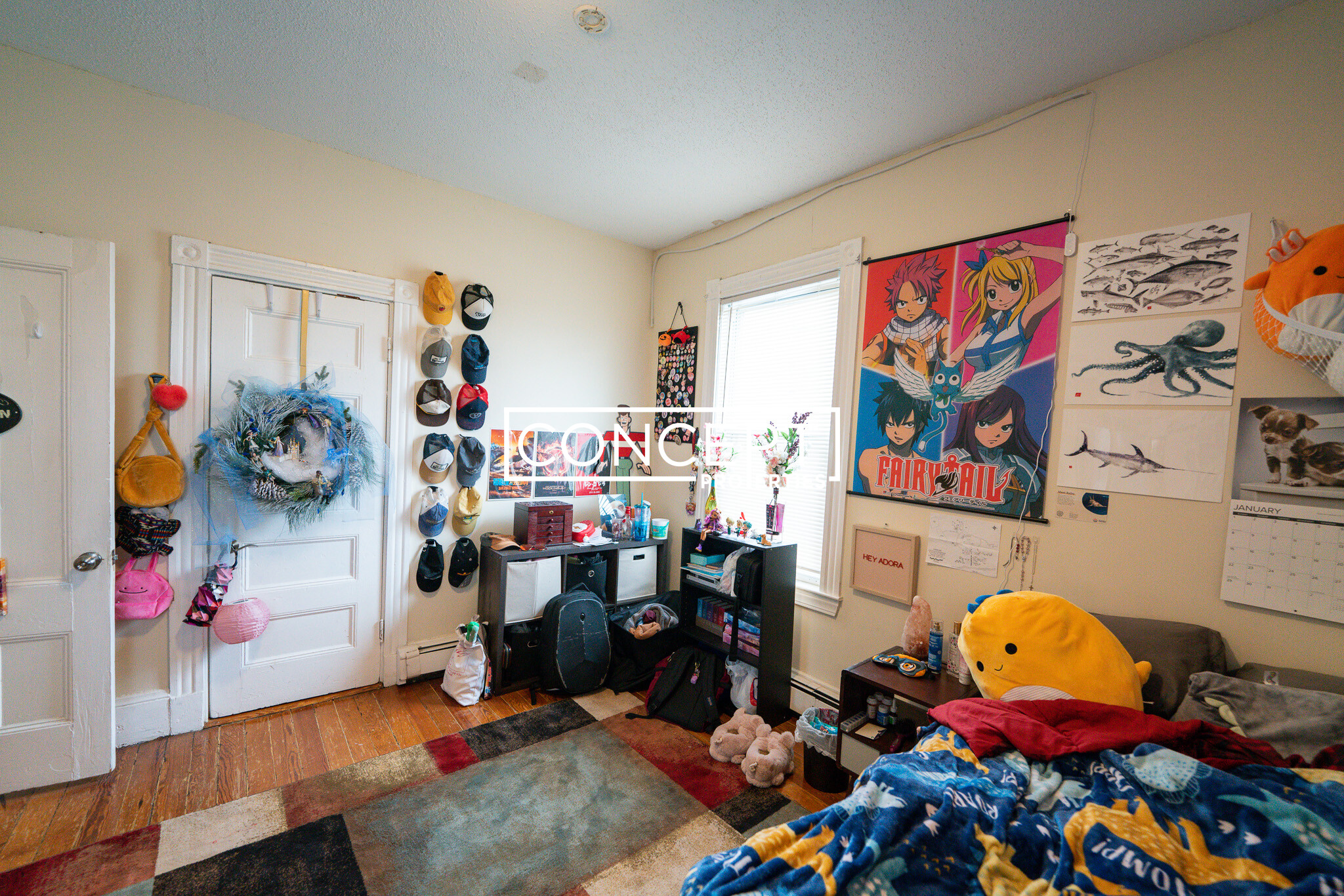 20 Lawn St, Mission Hill