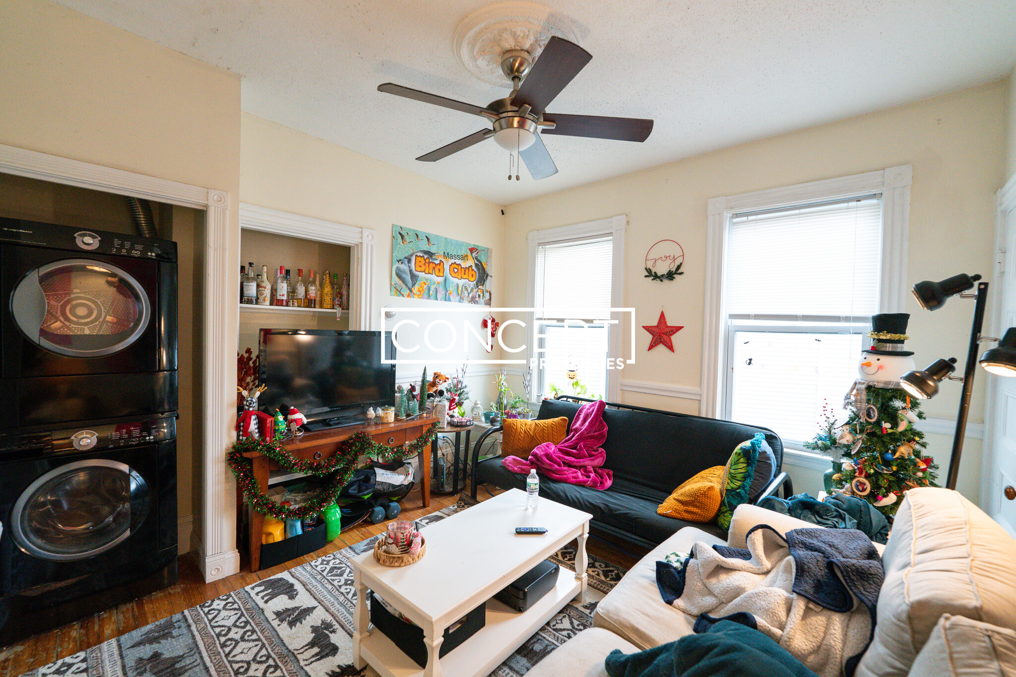 20 Lawn St, Mission Hill