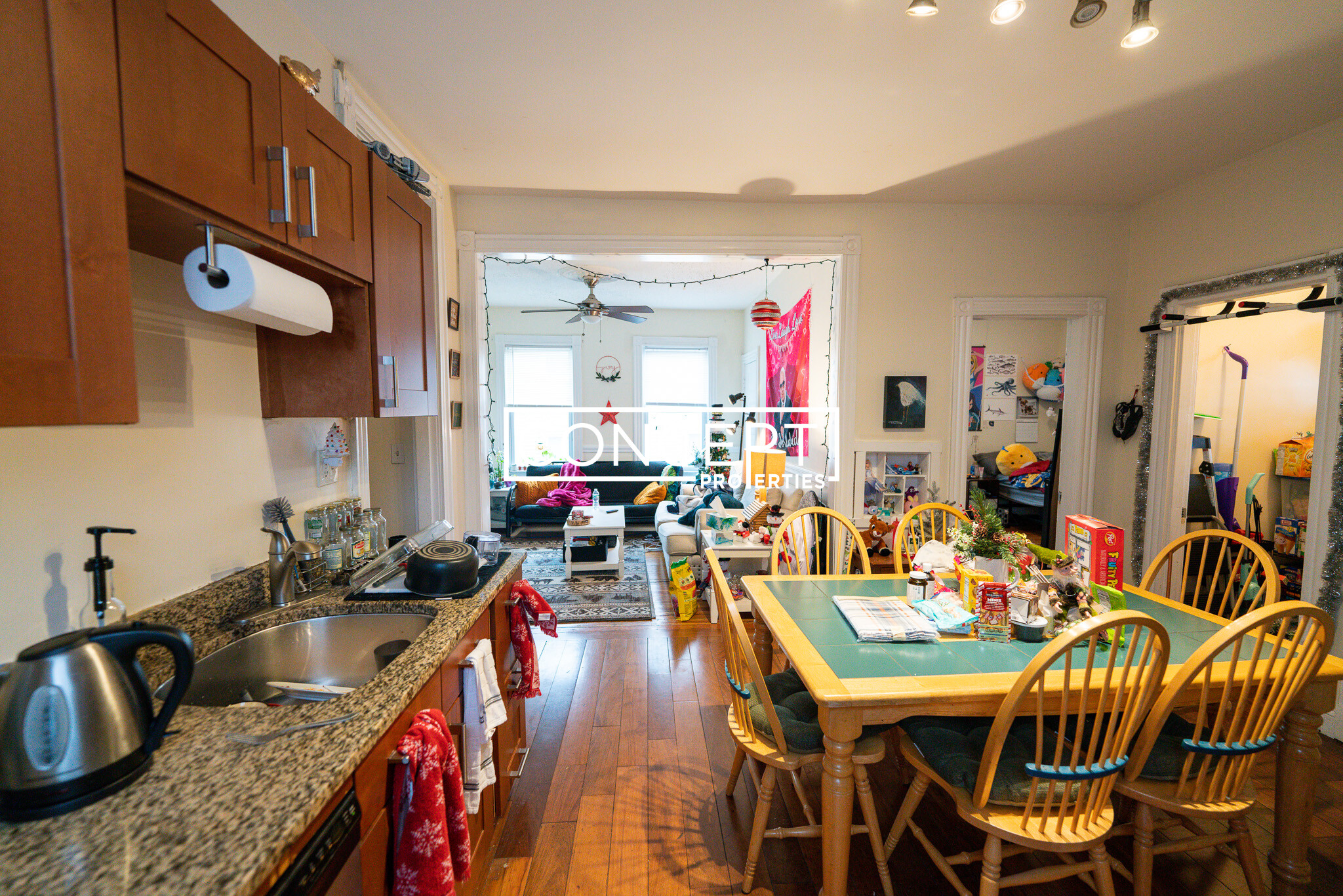 20 Lawn St, Mission Hill