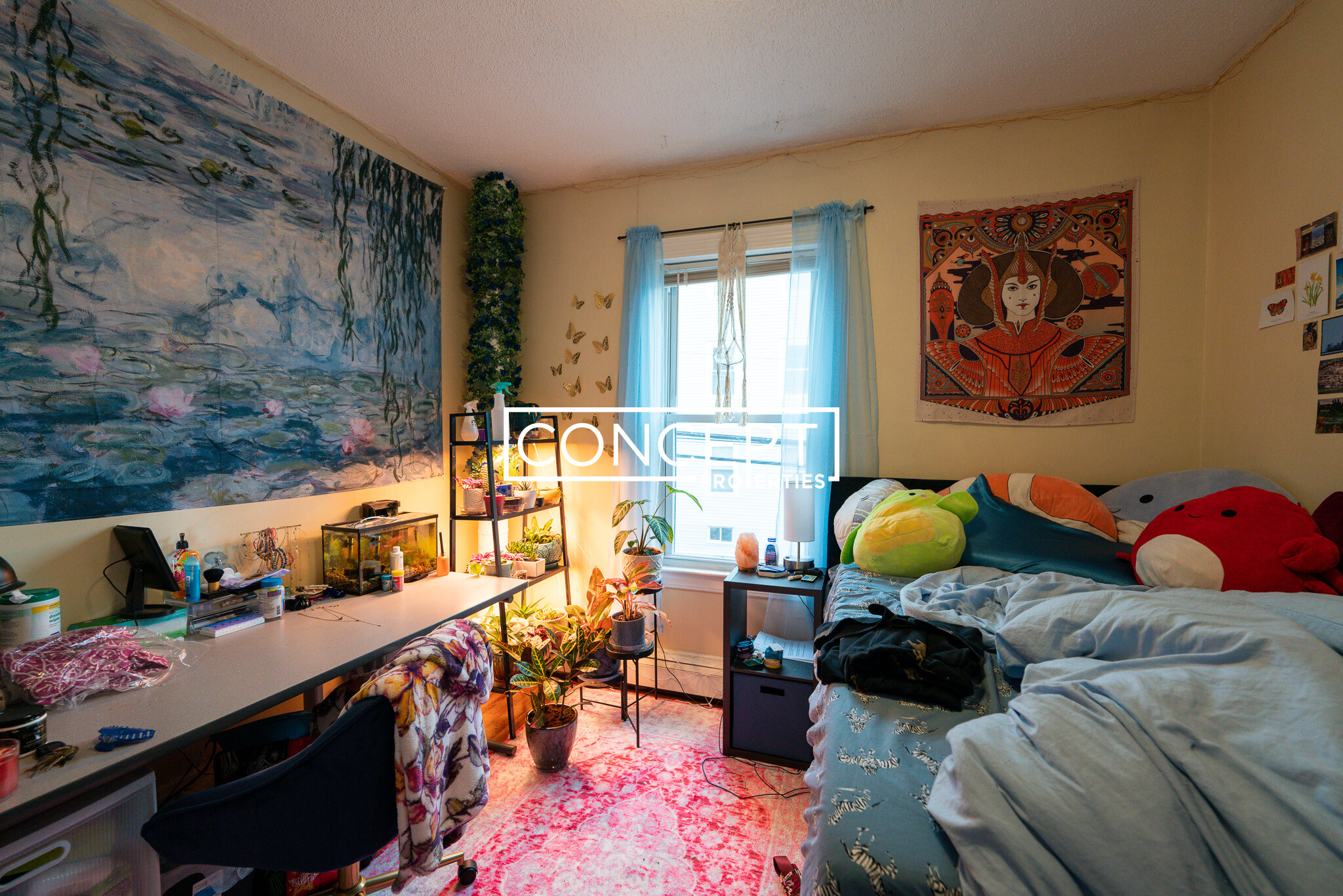 20 Lawn St, Mission Hill