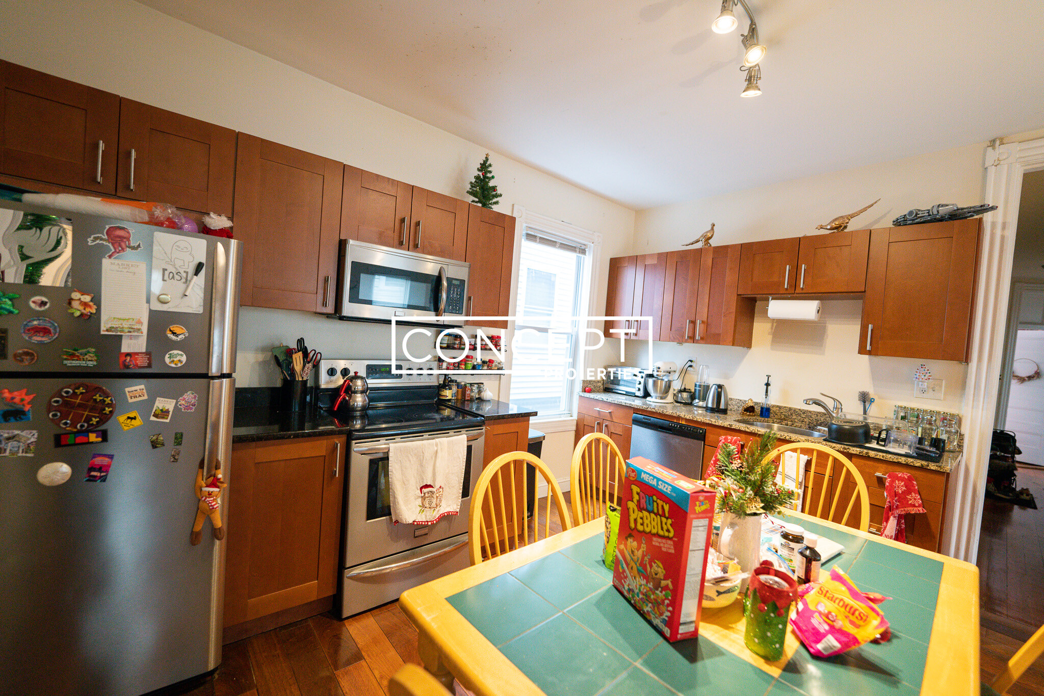 20 Lawn St, Mission Hill