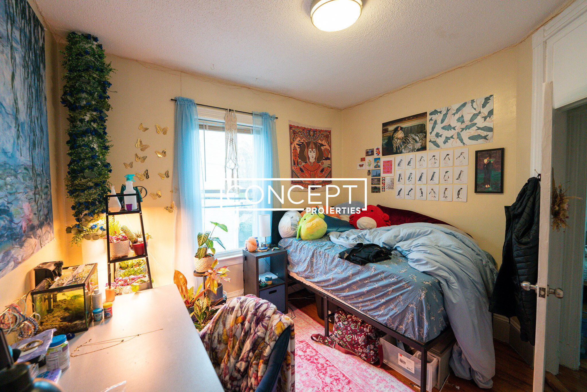 20 Lawn St, Mission Hill