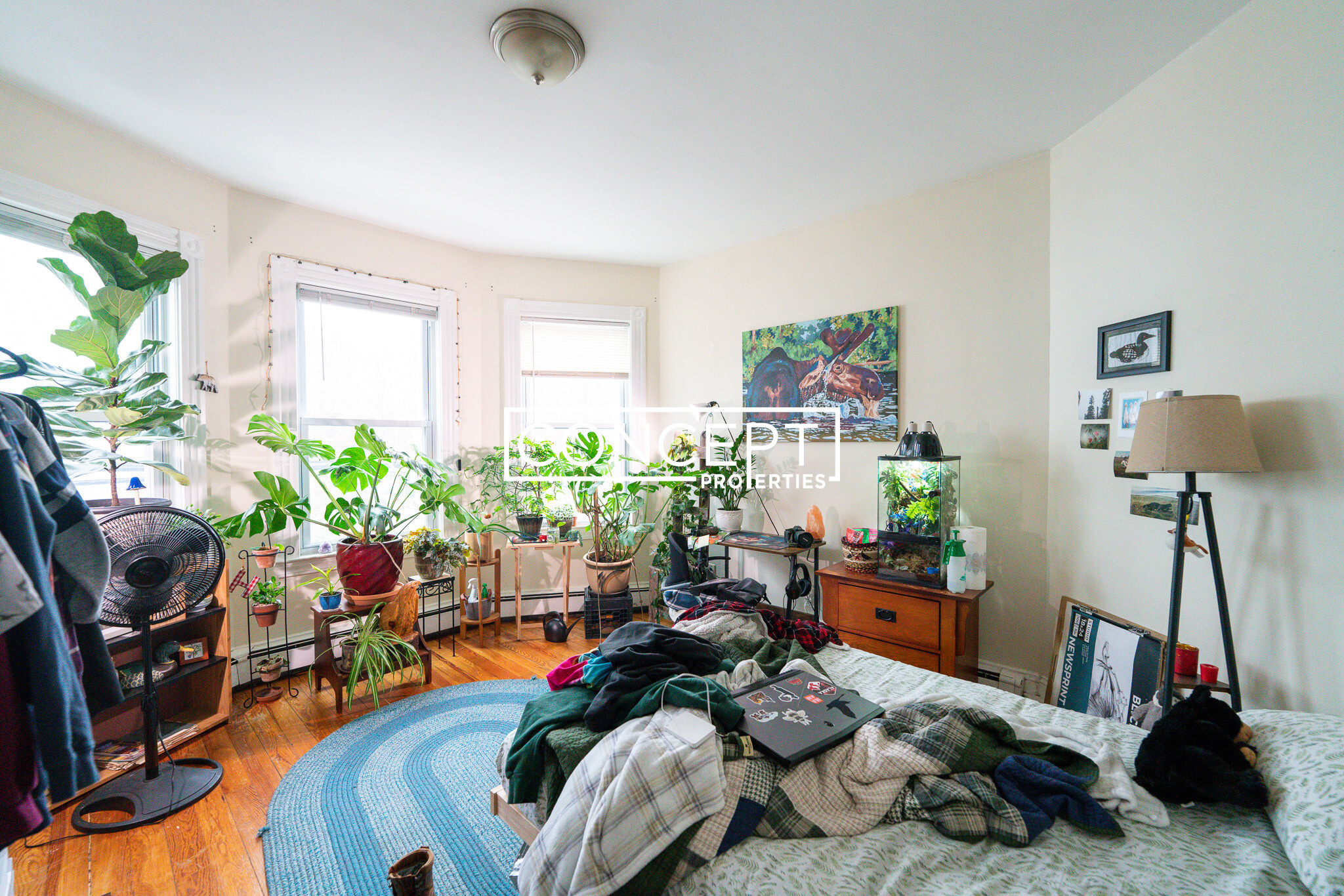 20 Lawn St, Mission Hill