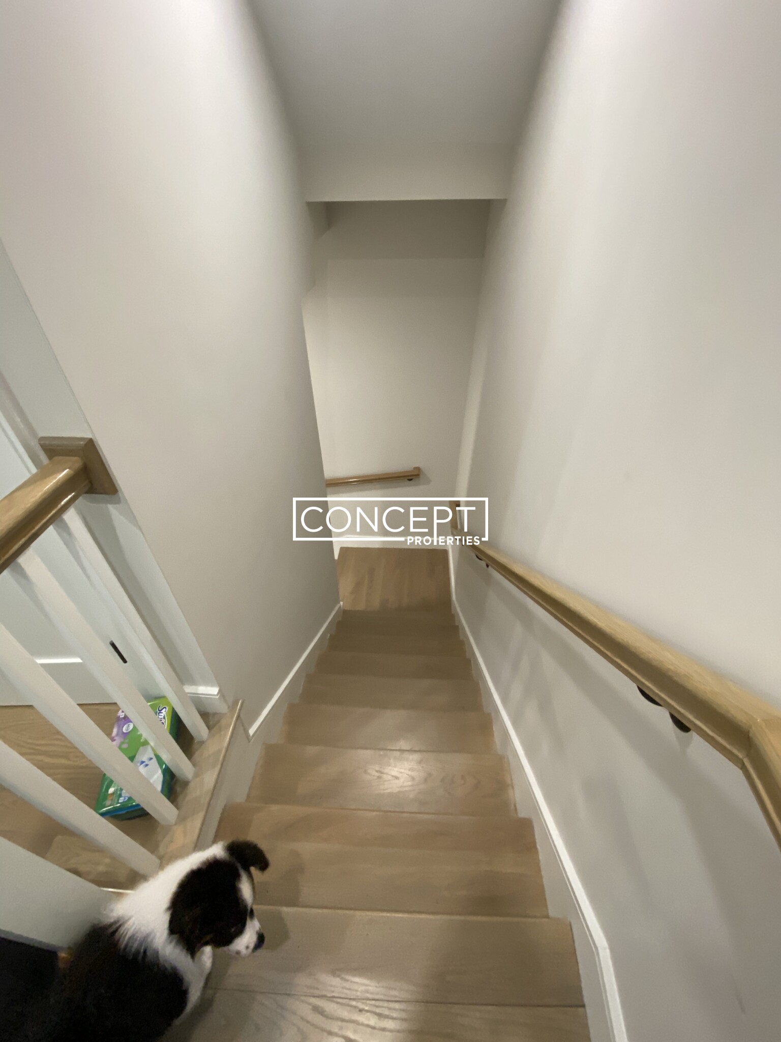 12.1 Reedsdale St, Allston