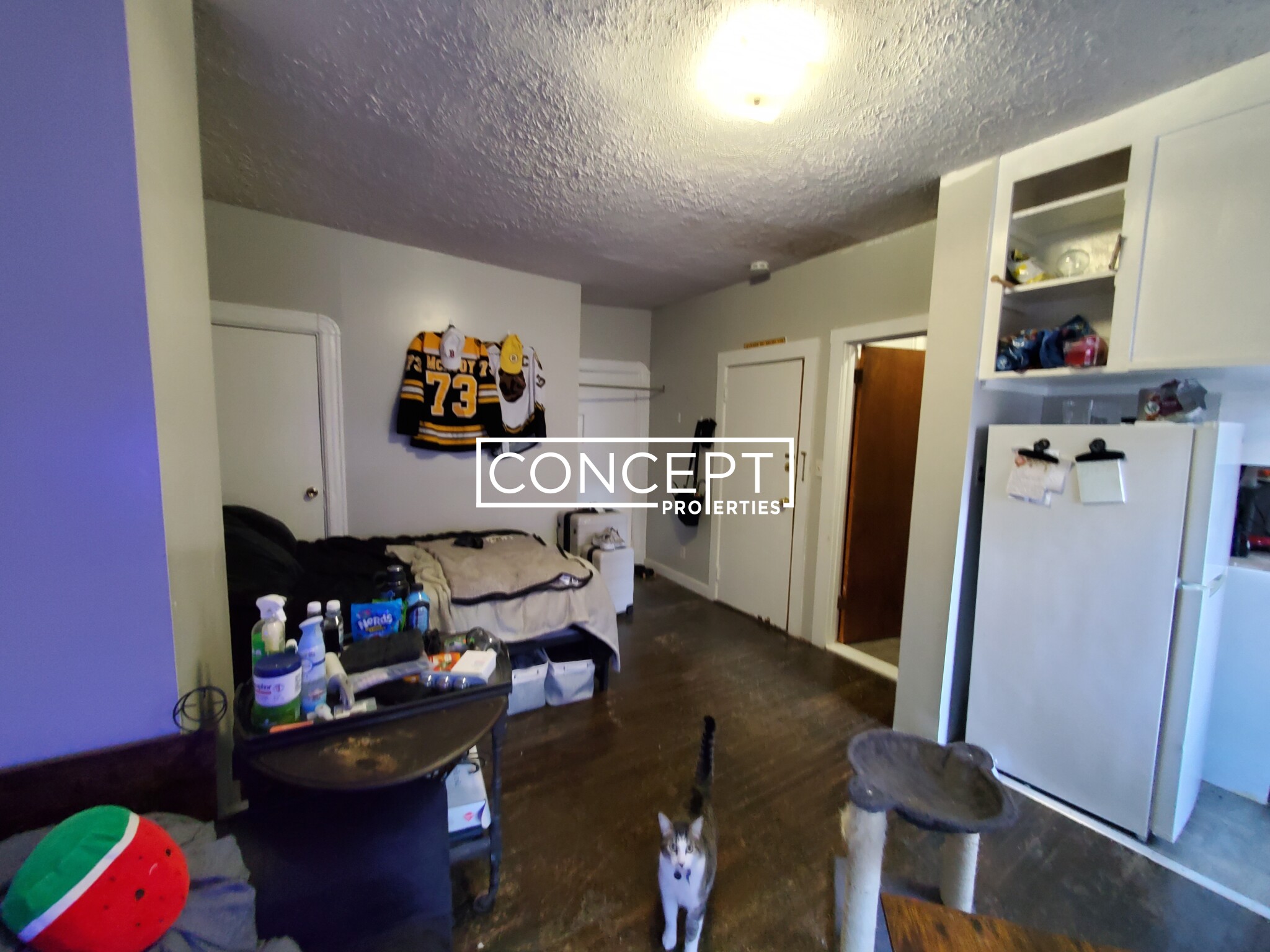 41 Anderson St, Beacon Hill