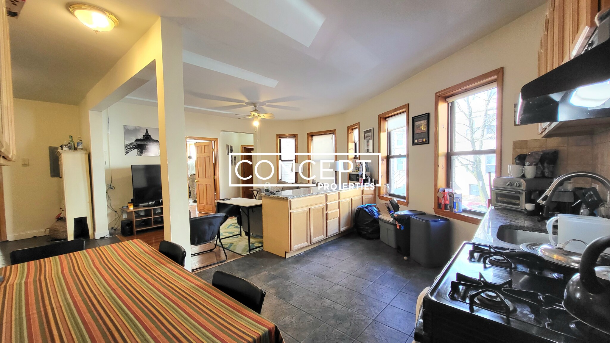 47 Orkney Rd, Brighton